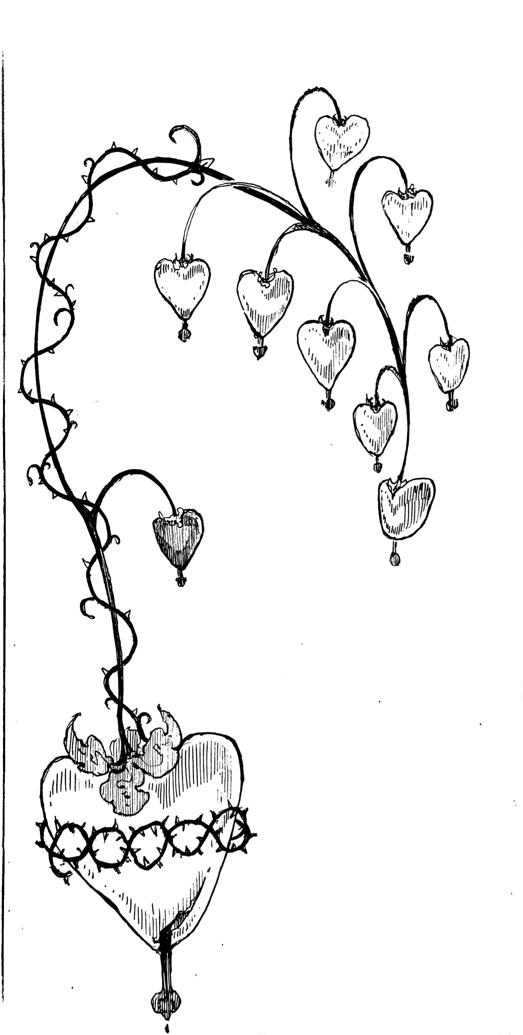 A black and white drawing of a heart-shaped object with a decorative border on top, resembling a flower, with a stem and heart-shaped hanging elements above, connected by curving lines.