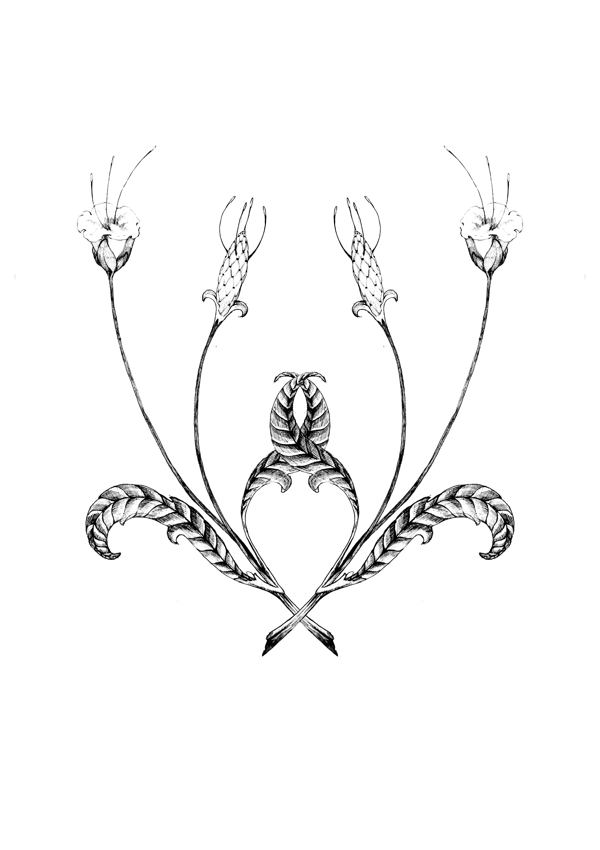 Black and white illustration of a symmetrical floral design with detailed leaves and curved stems.