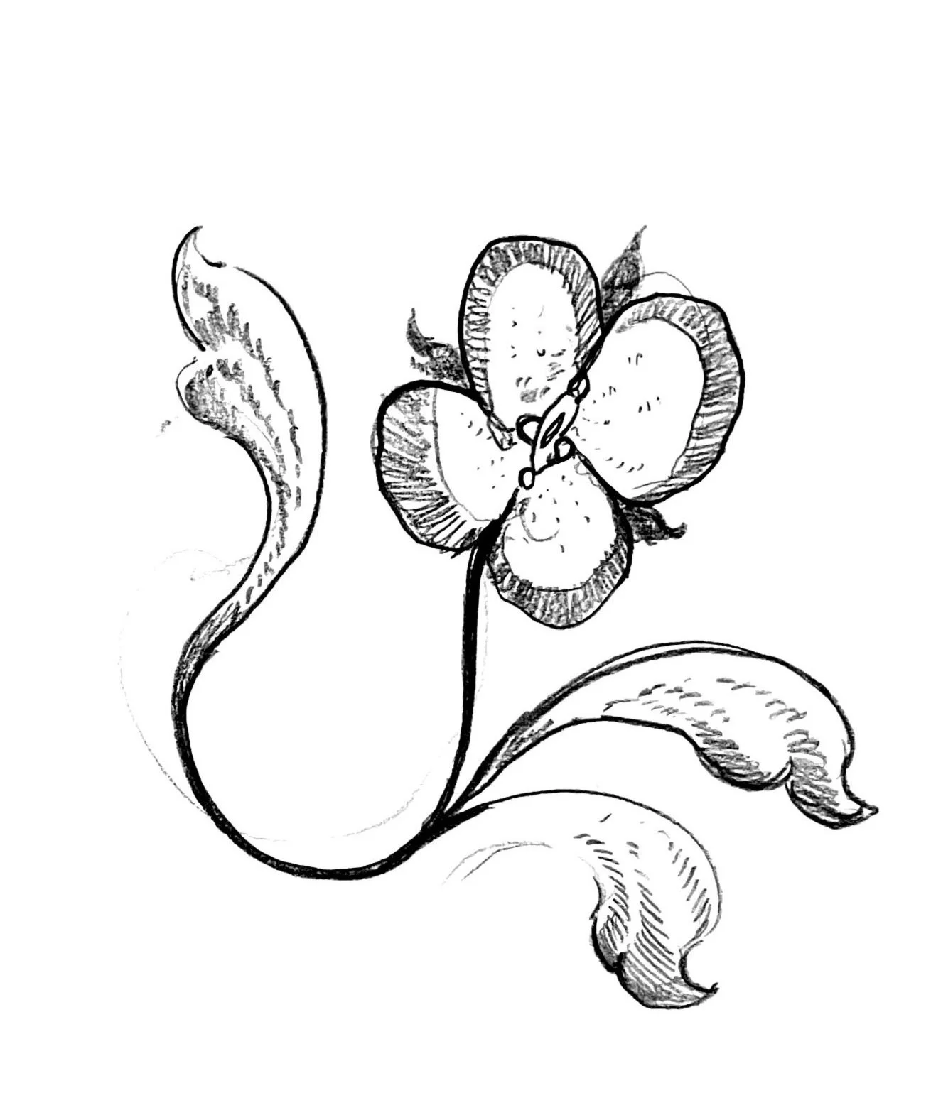 Black and white sketch of a flower with three heart-shaped petals and long twisting stems accented with leaves, some of which have curved edges.