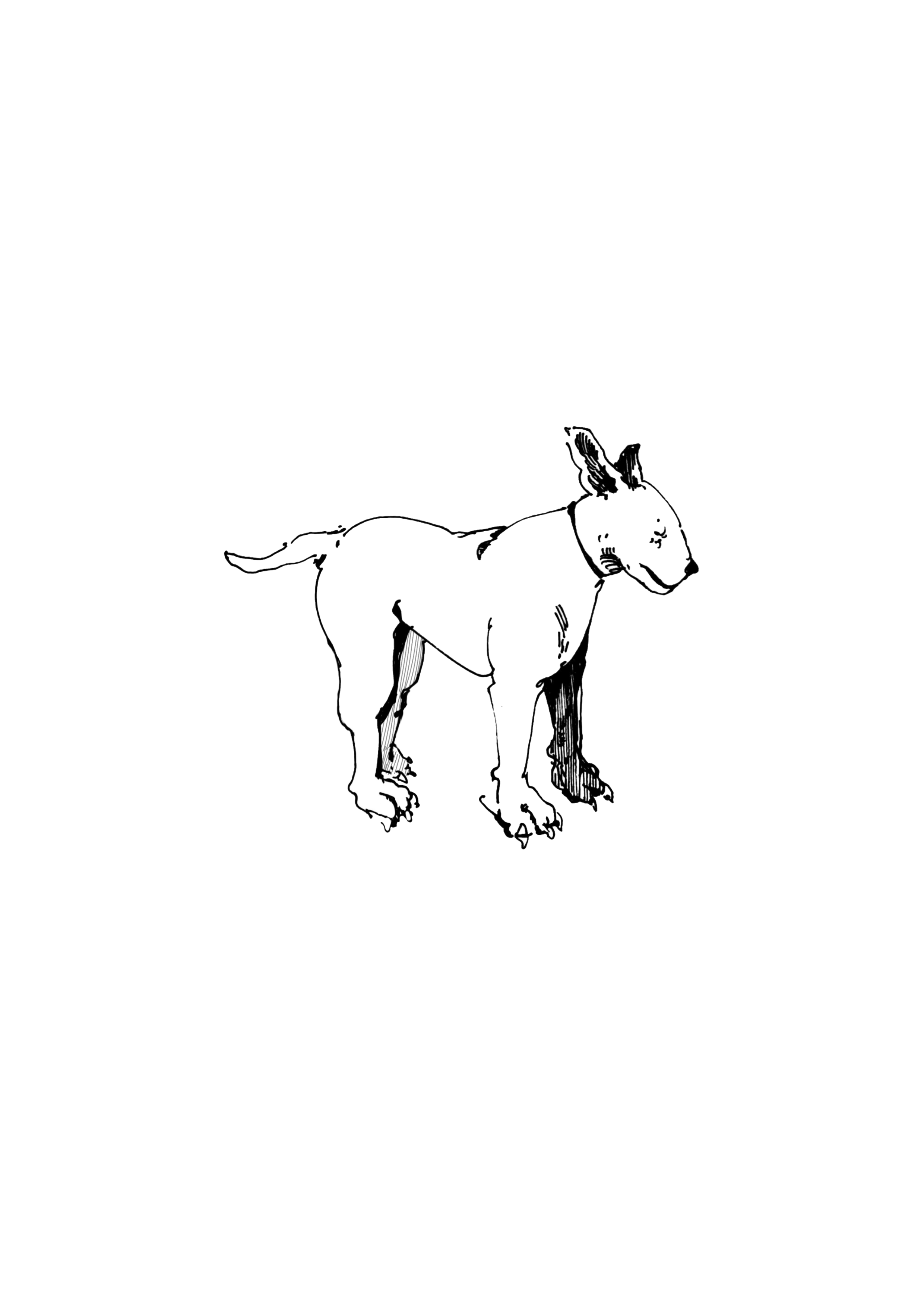 A black and white sketch of a dog standing against a plain white background.