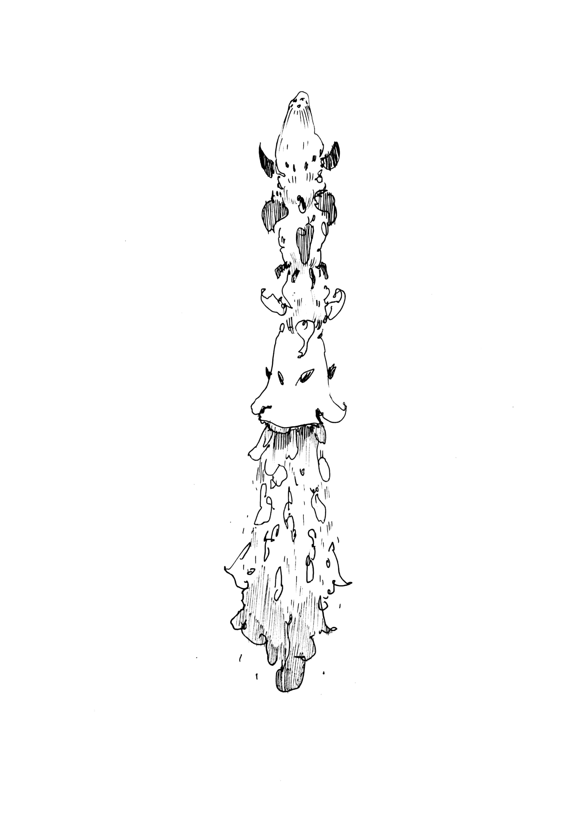 Black and white ink drawing of a geyser erupting with water and steam shooting upward.