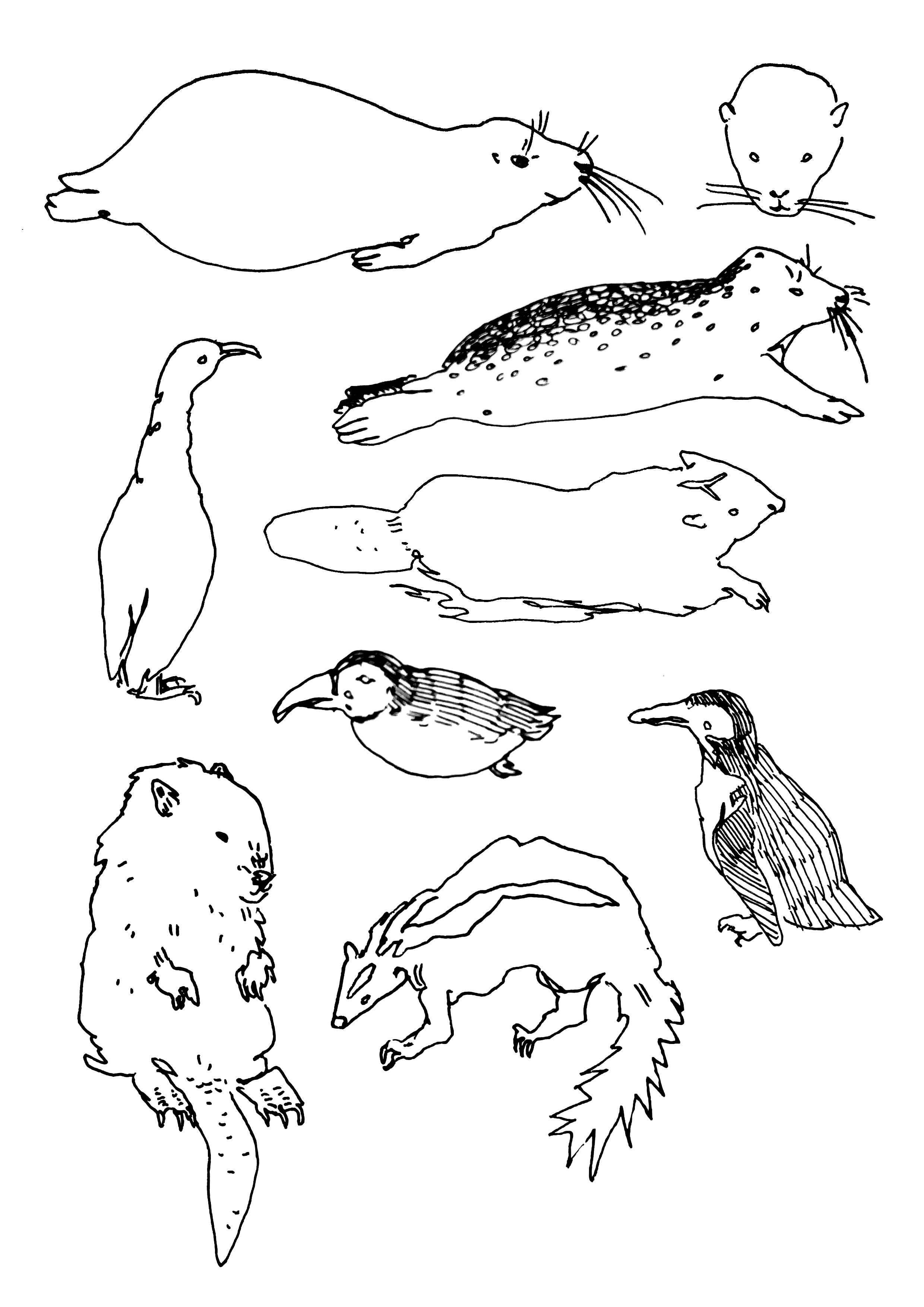 Line drawing of various animals, including a ferret, a capybara, a cockatoo, a lynx, a guinea pig, a porcupine, a beaver, and a puffin.