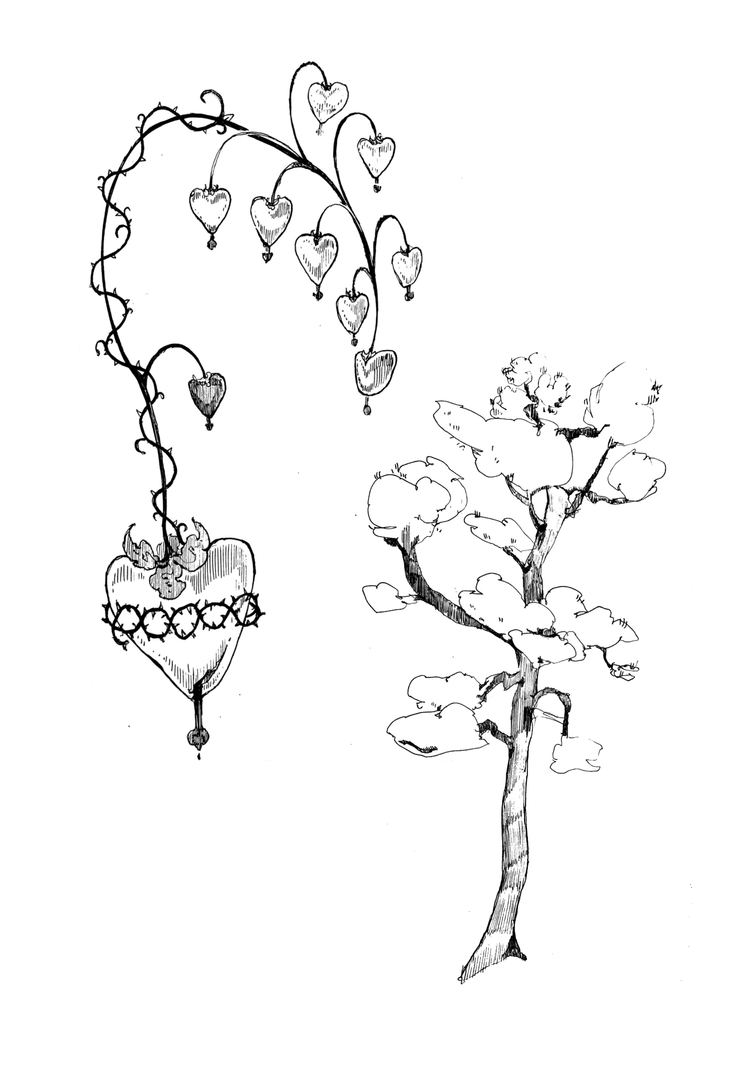 A black and white sketch of a heart-shaped plant hanging from a curved stem and a small tree with rounded leaves.
