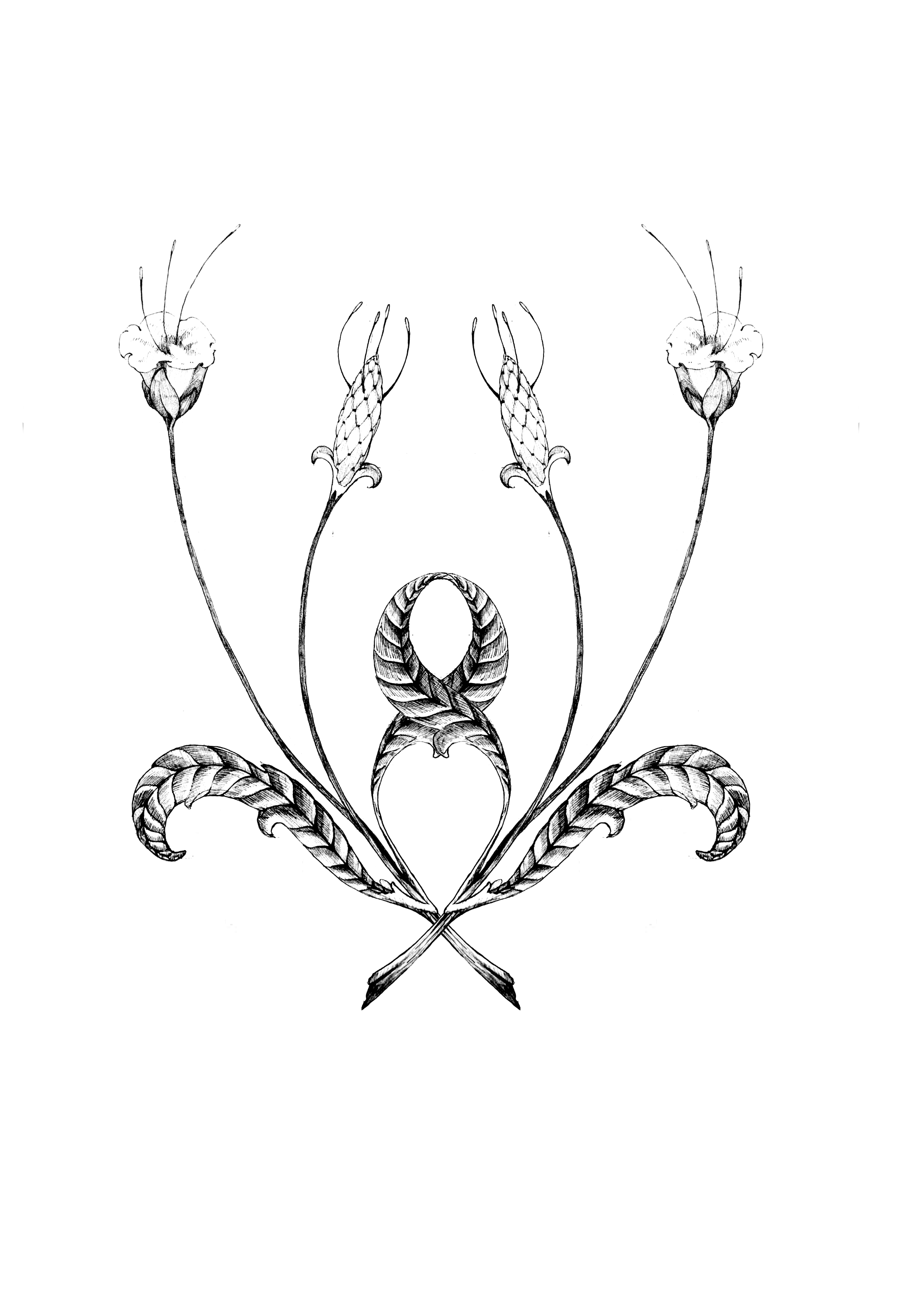Black and white illustration of a symmetrical, ornate design with a central circular element, surrounded by stylized leaves and plant-like structures with delicate, detailed linework.