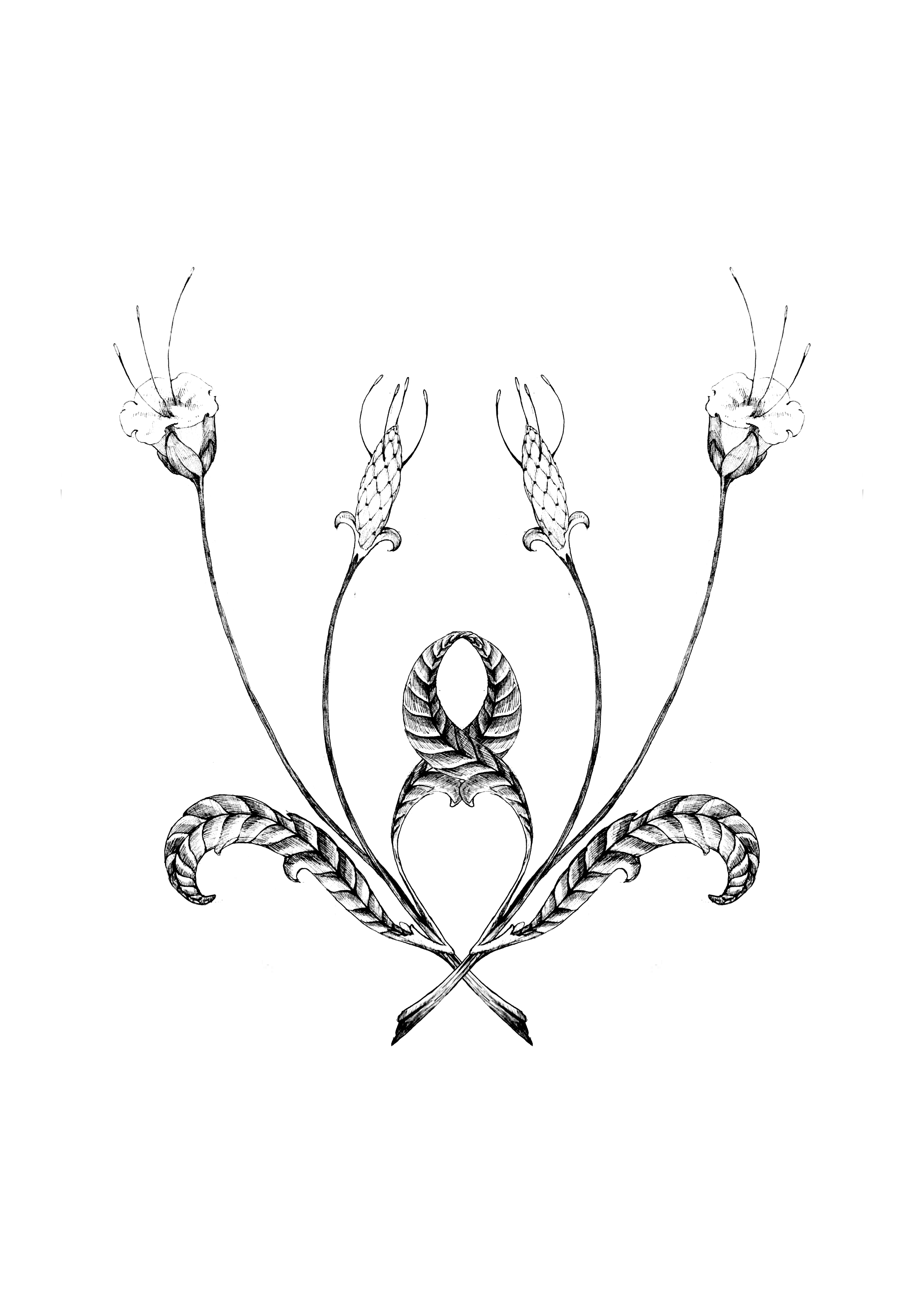 Black and white illustration of intertwined botanical elements, including a snake, with symmetrical floral and leaf designs.