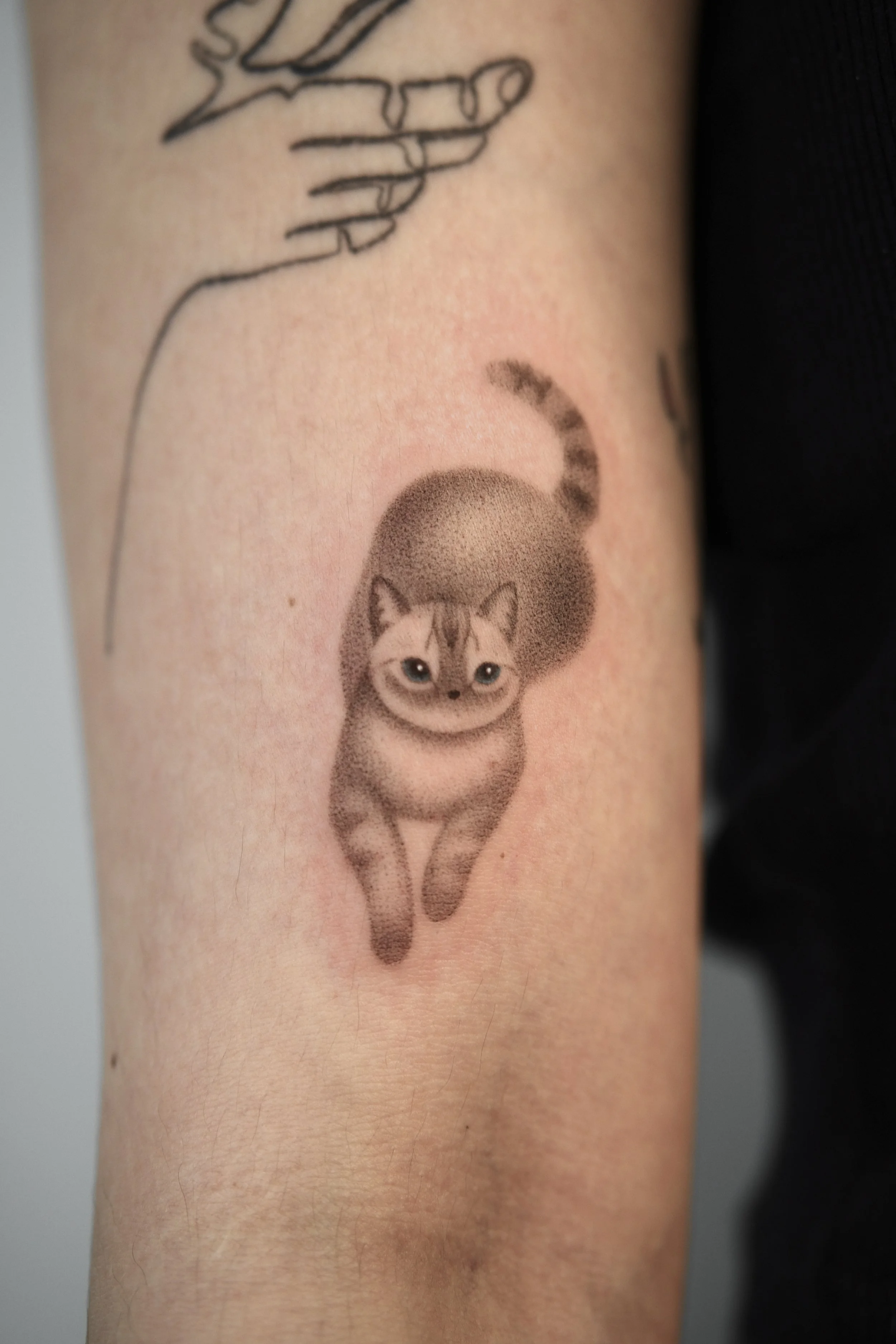 Custom Shadow Cat