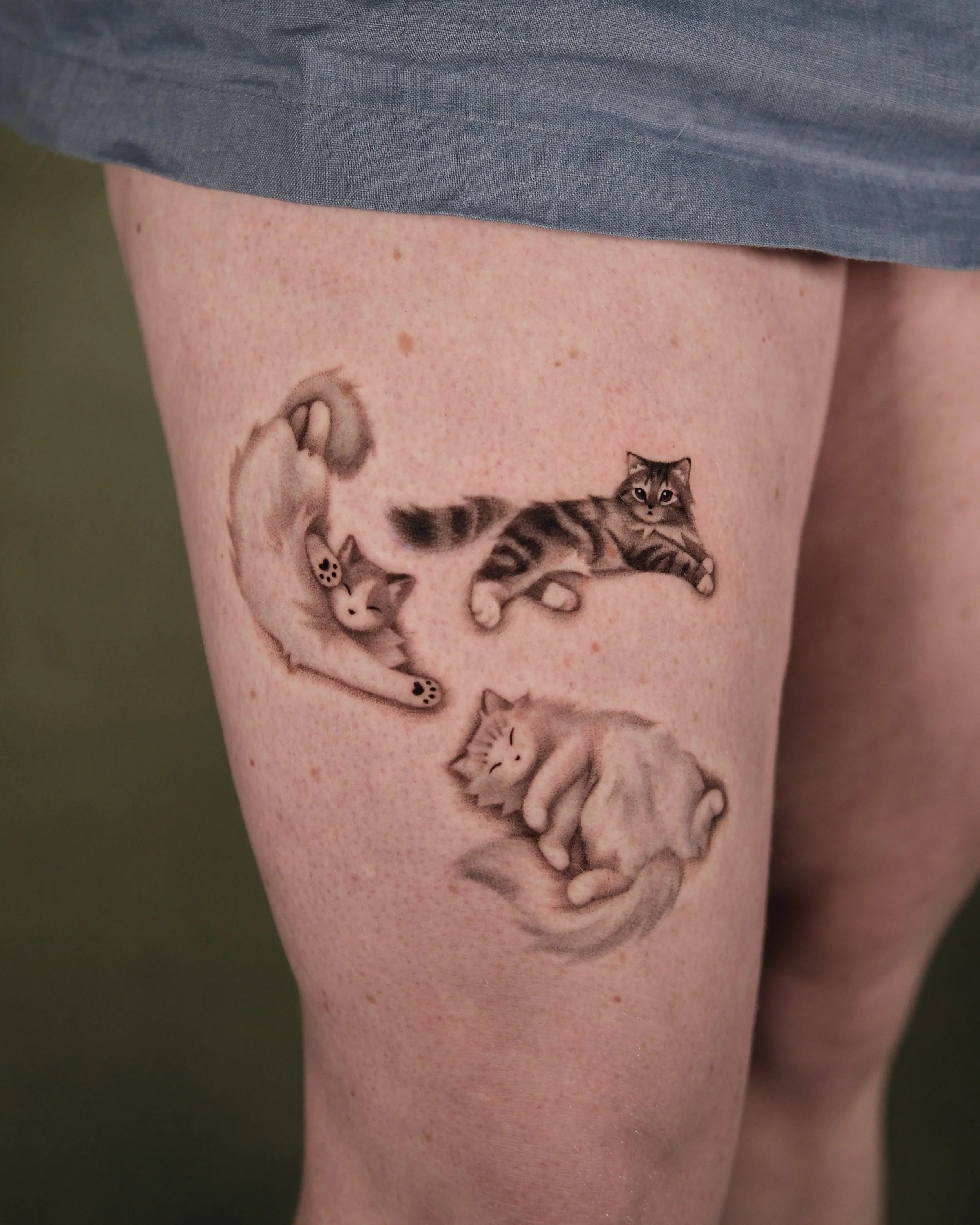 Custom shadow cats- 
Cashmere, Felix, & Reddington