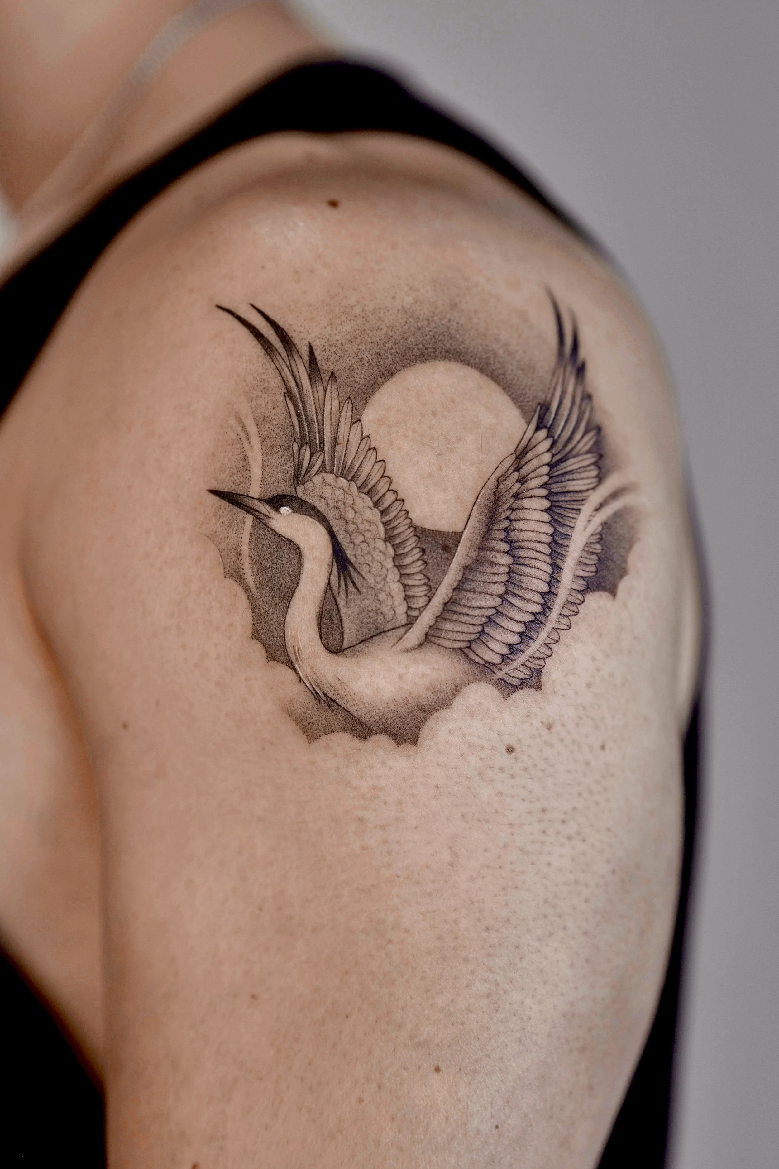 Flash illustrative crane