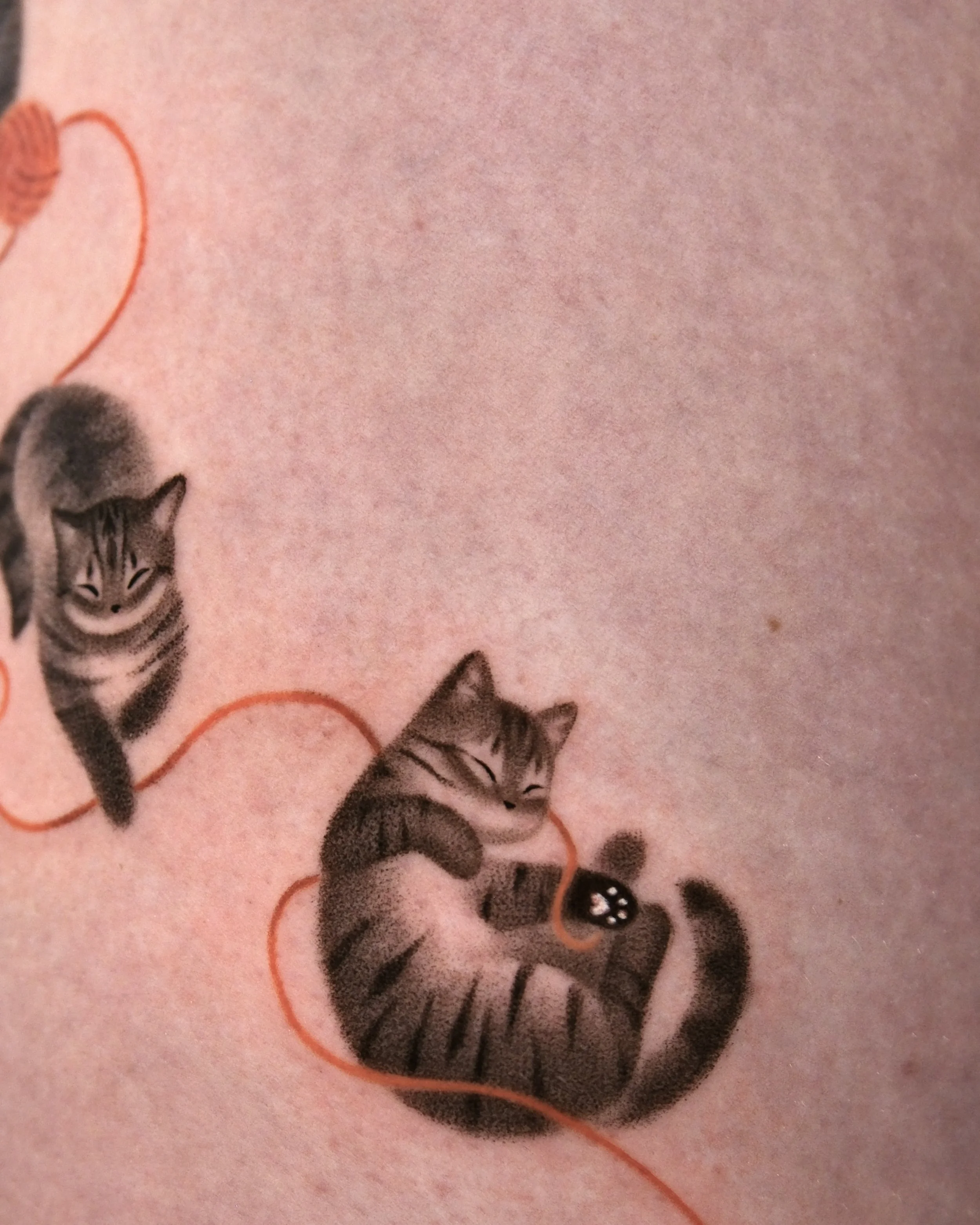 Custom shadow cats