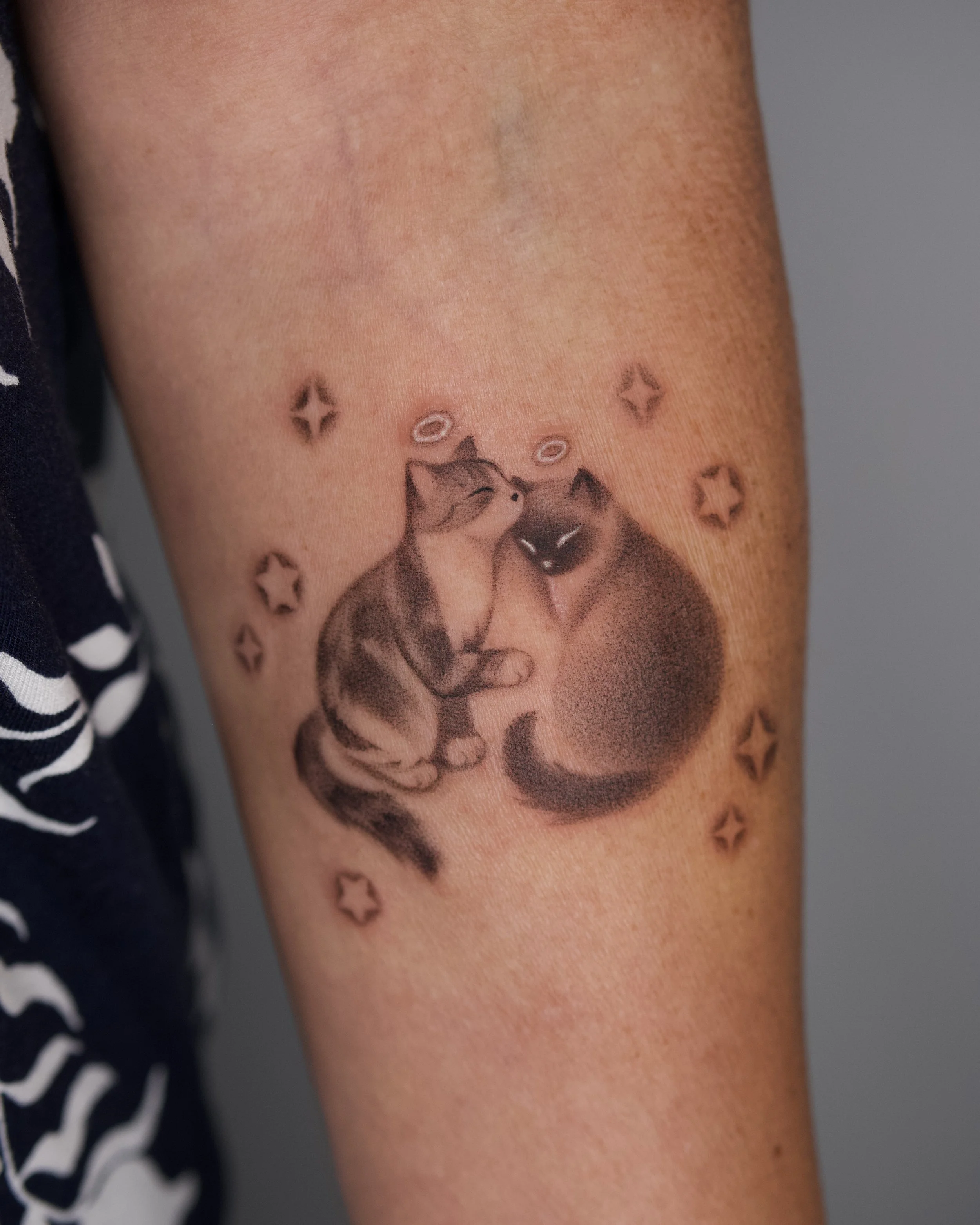 Custom shadow cats- Sasha & Jammie