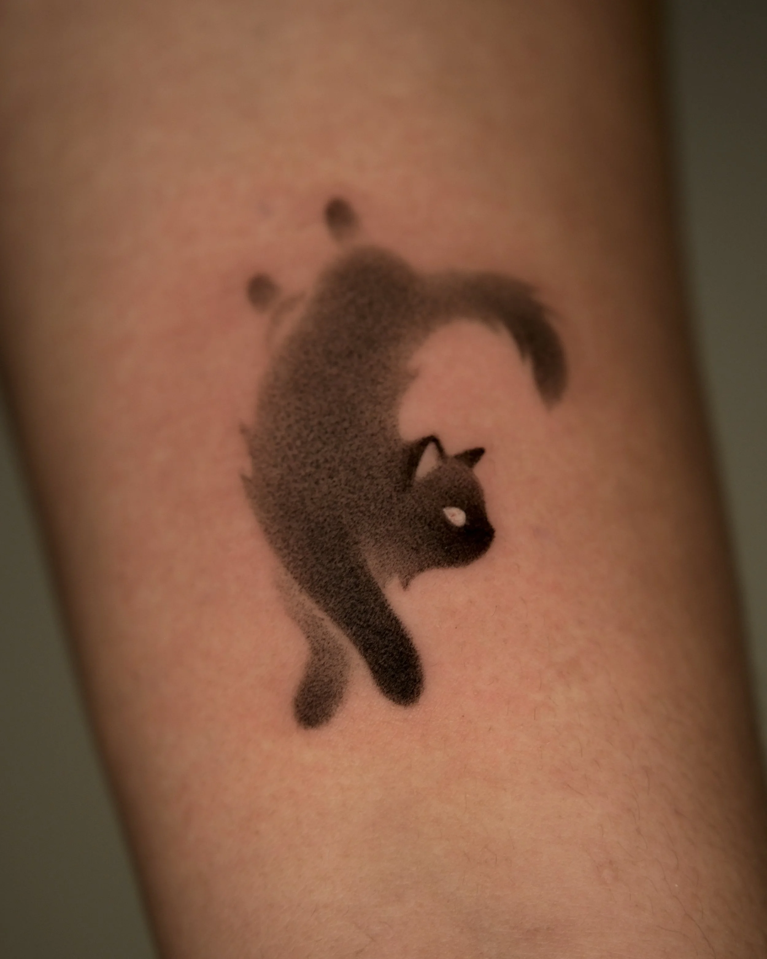 Custom shadow cat