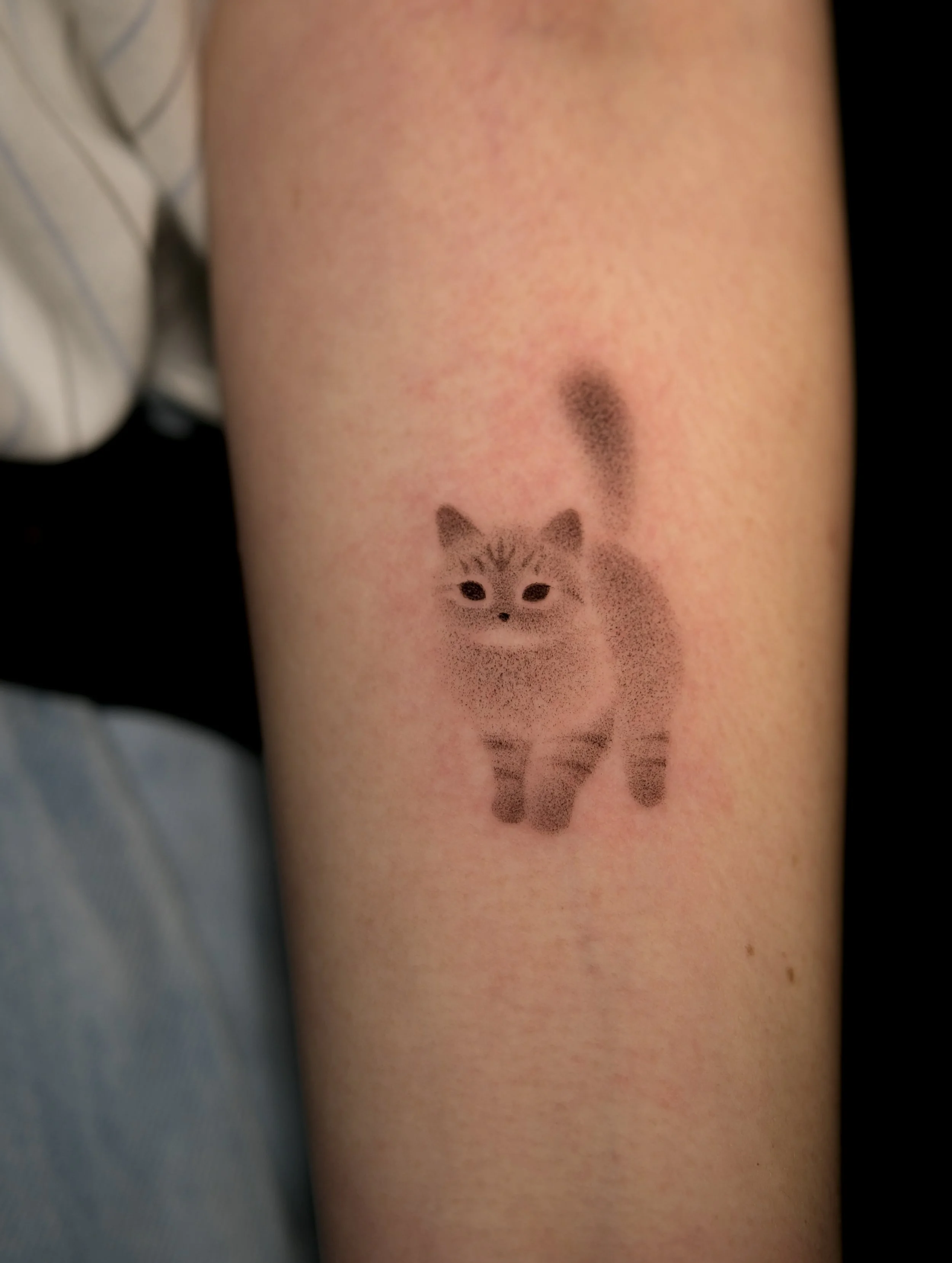 Custom shadow cat tattoo on arm