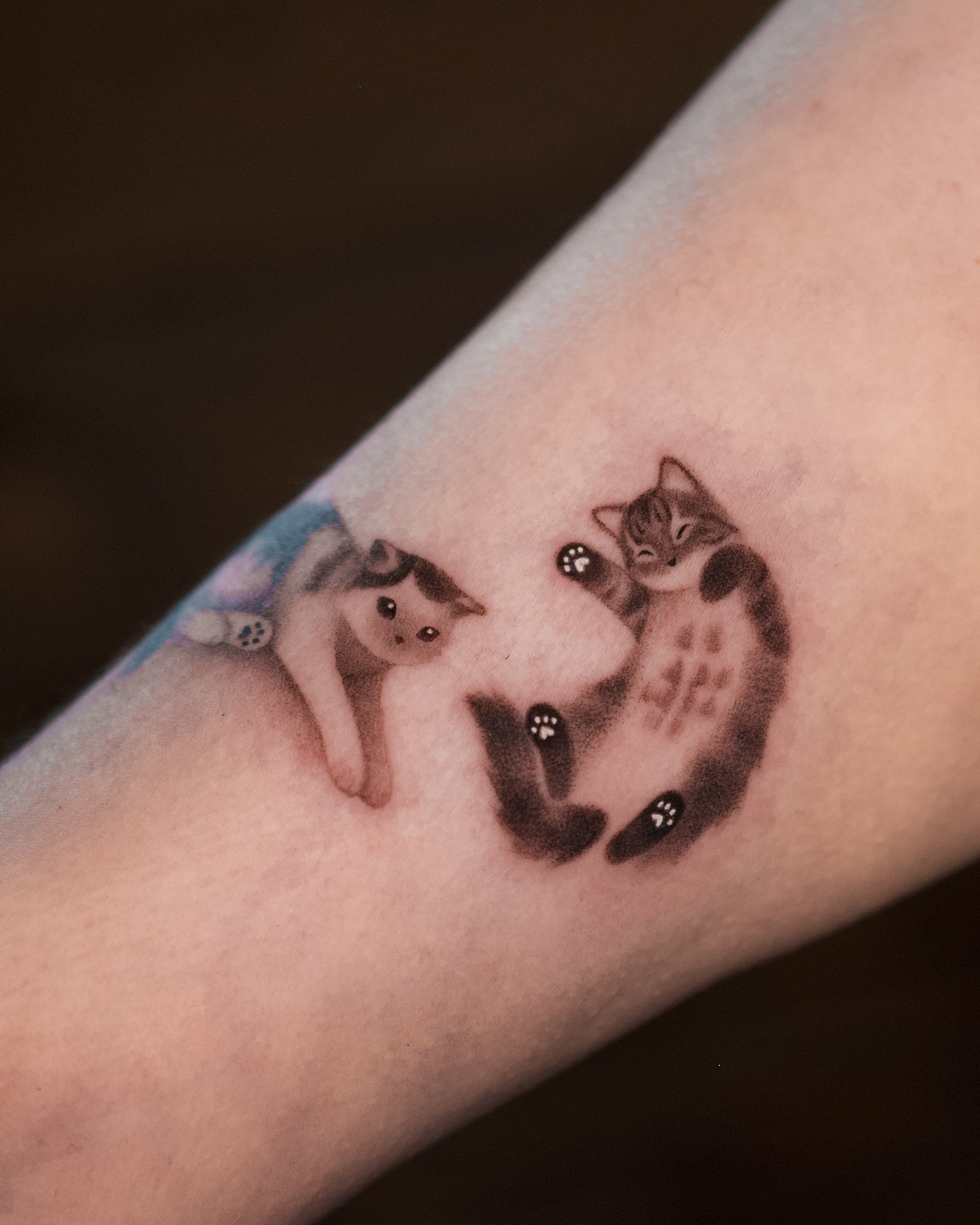 Custom shadow cats