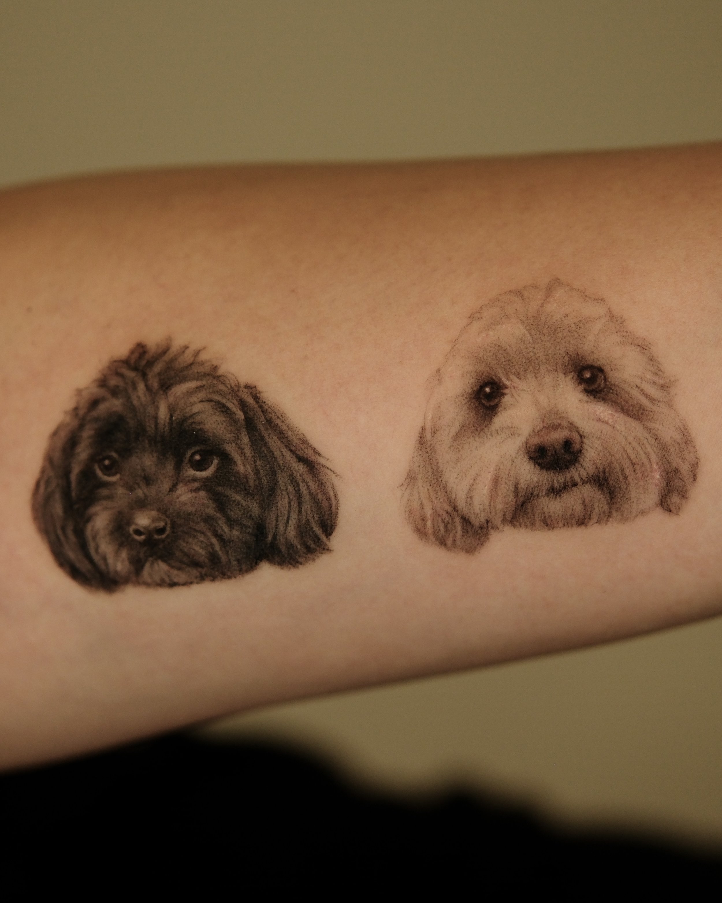 Custom realistic pet portraits