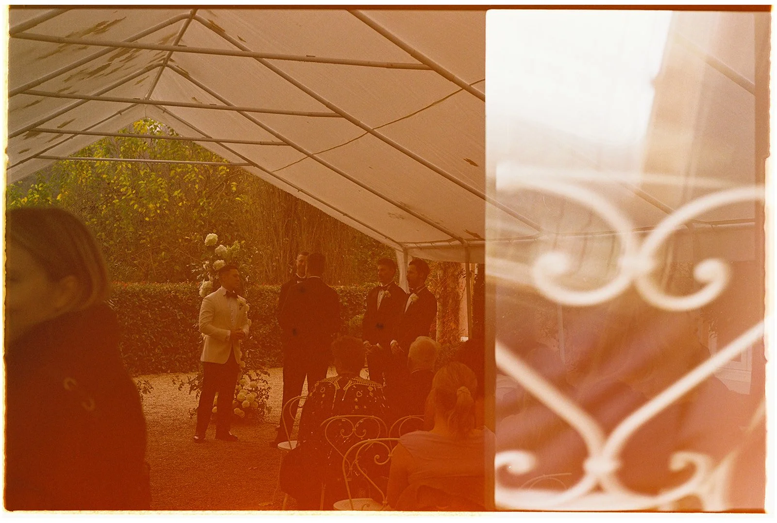 Portra 400 10000001.jpg