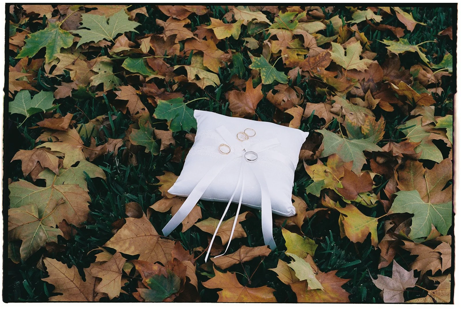 Portra 400 10000075.jpg