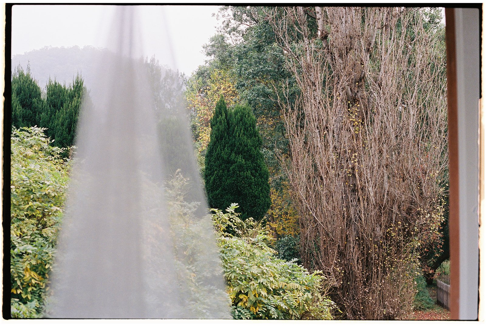 Portra 400 10000066.jpg