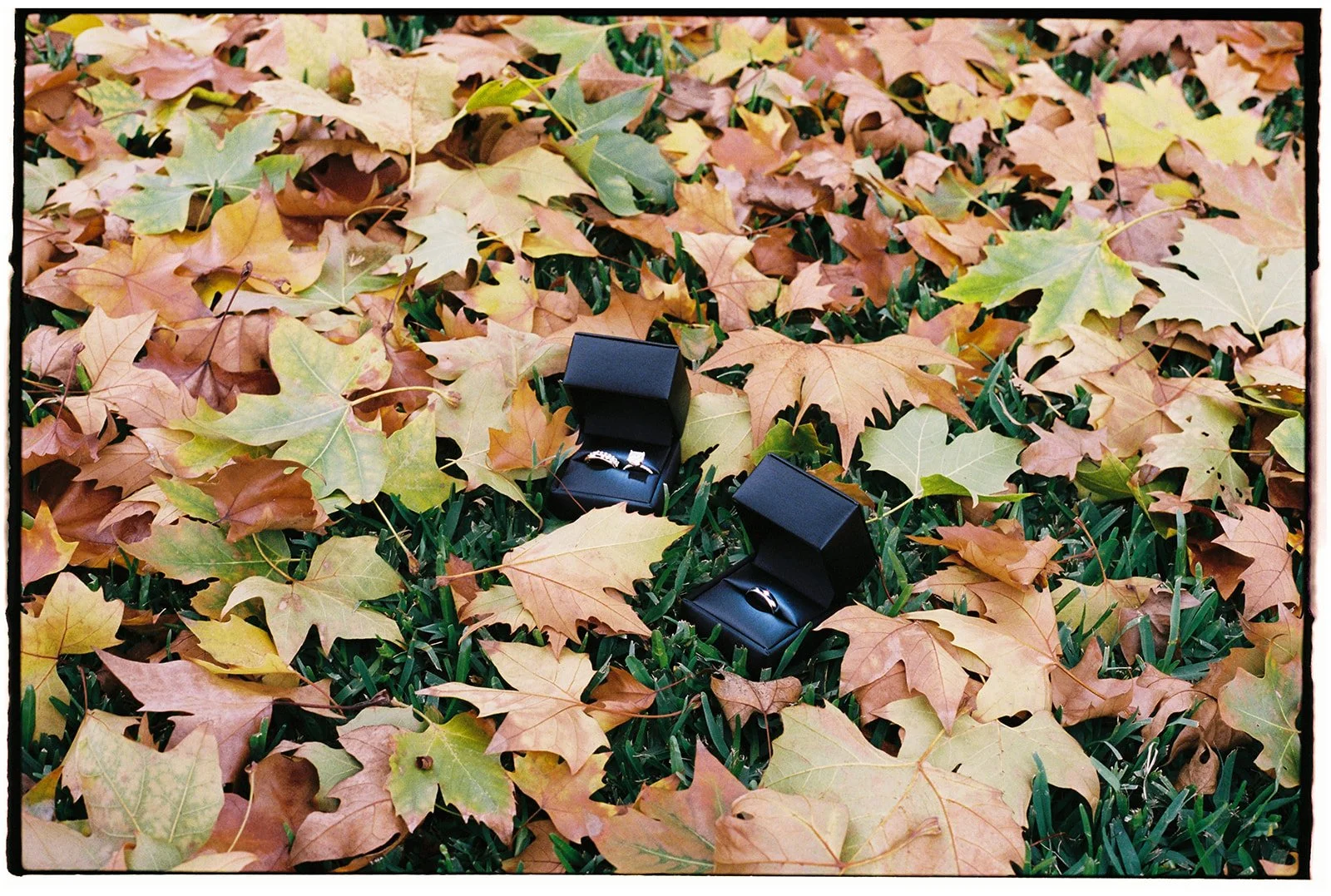 Portra 400 10000076.jpg