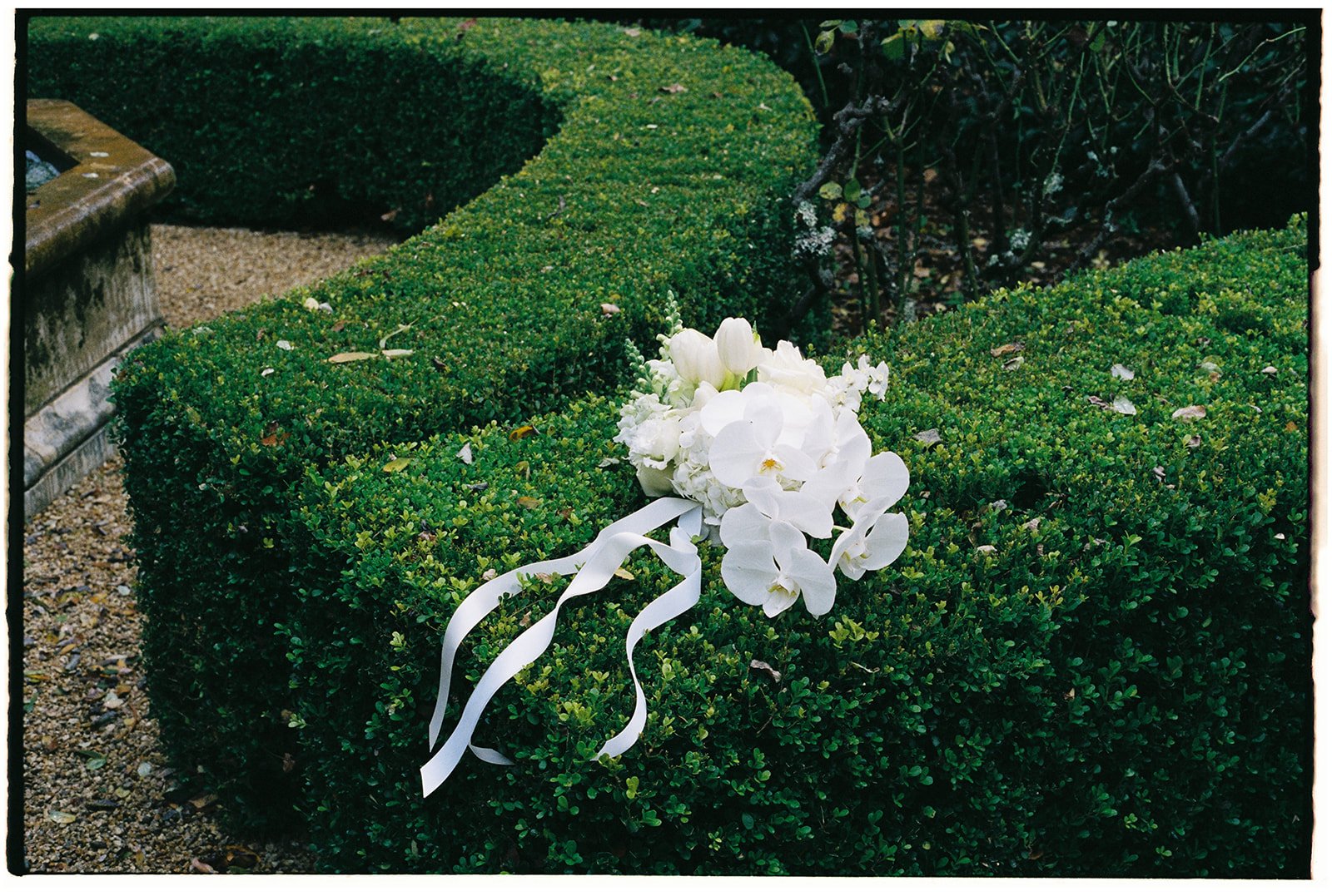 Portra 400 10000063.jpg