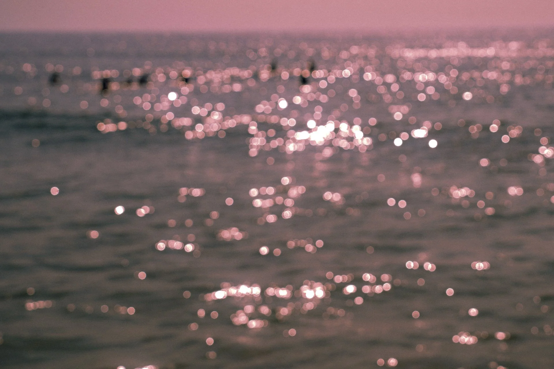 Gliding Barnacles 