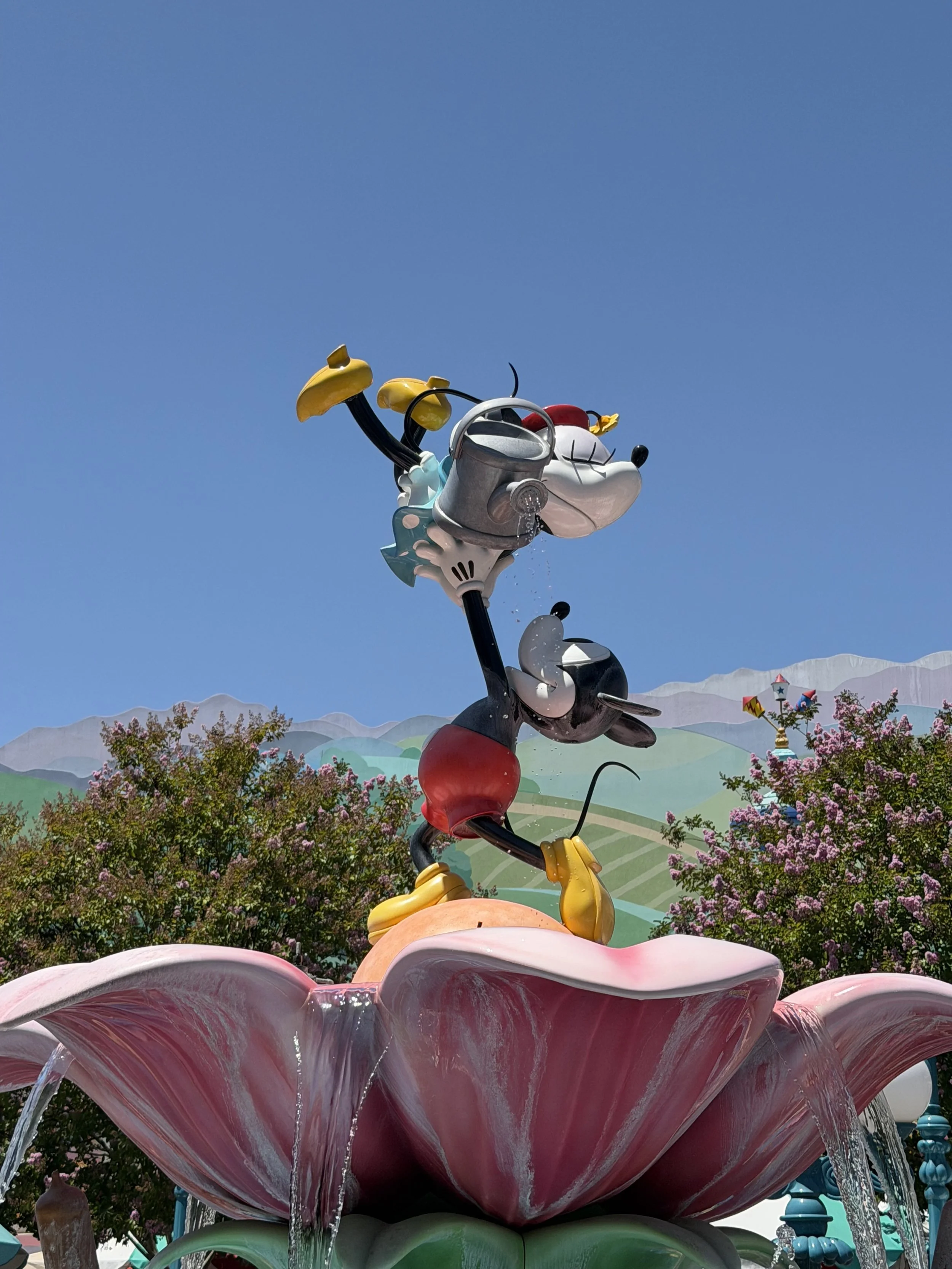 IMG_5813.jpeg