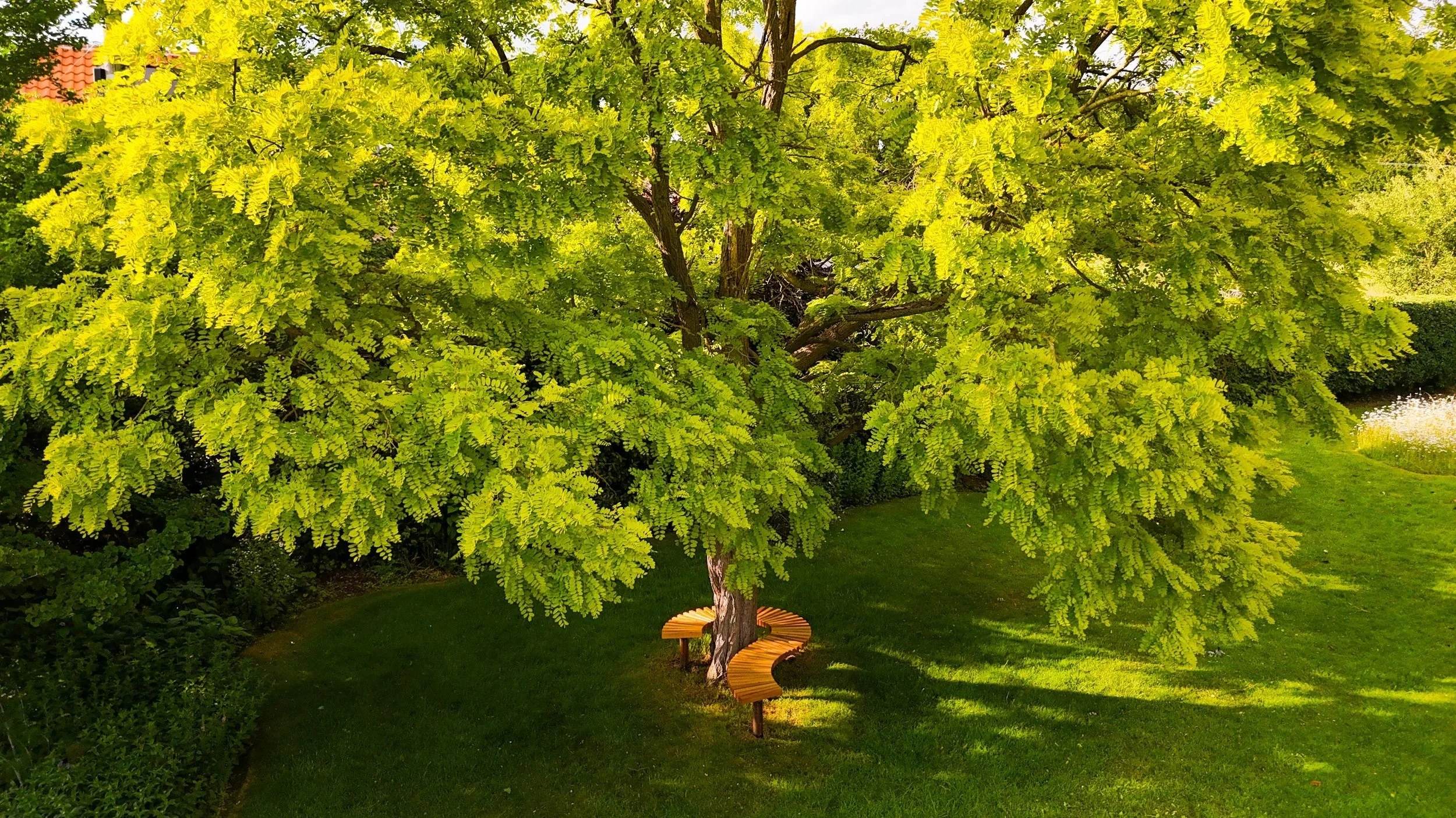 DJI_20260615071901_0099_D+%281%29.jpg