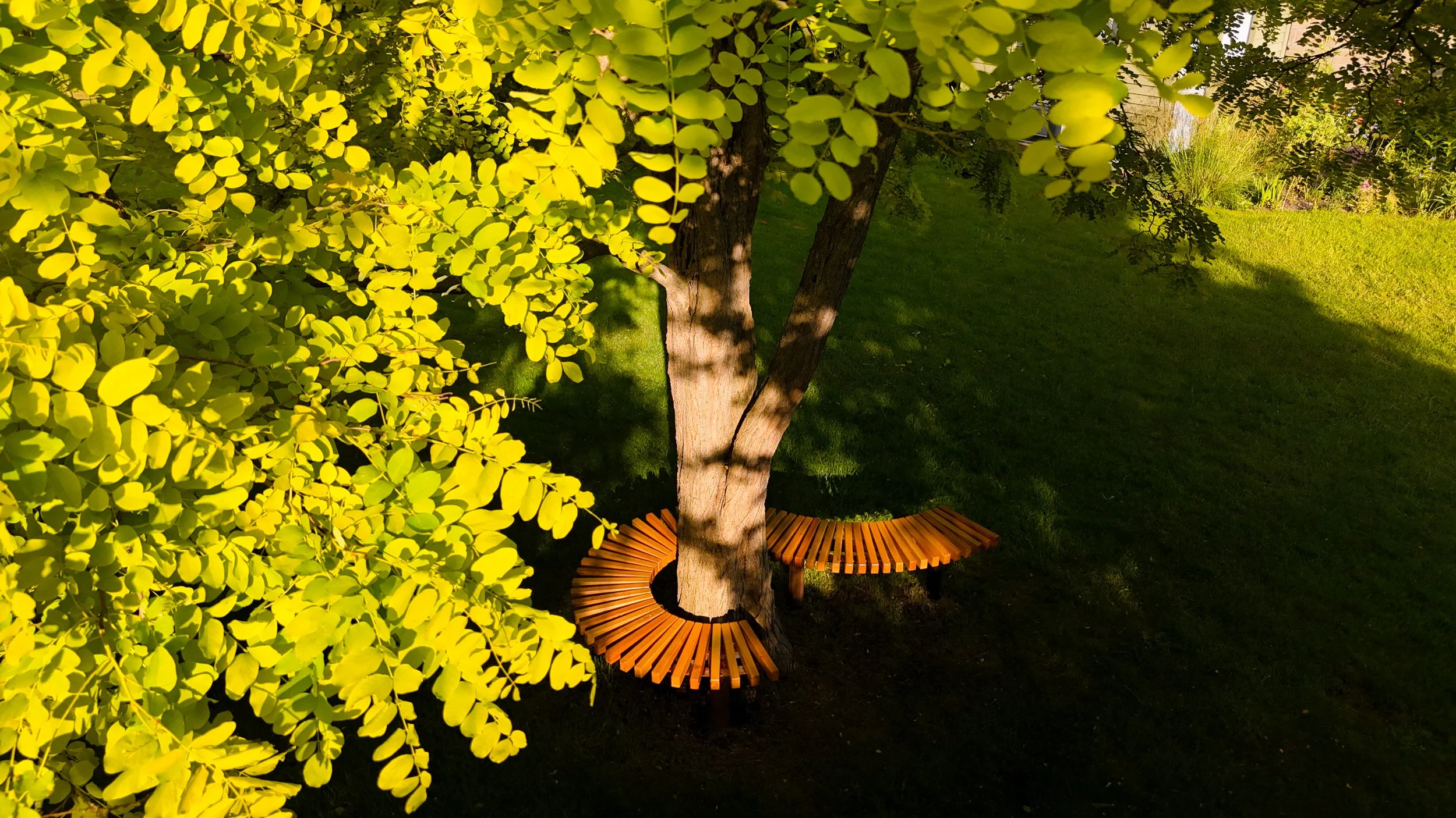 DJI_20260615072641_0112_D (1).jpg
