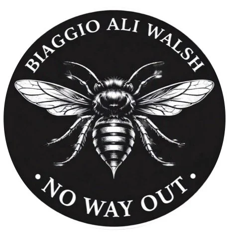 BIAGGIO MMA