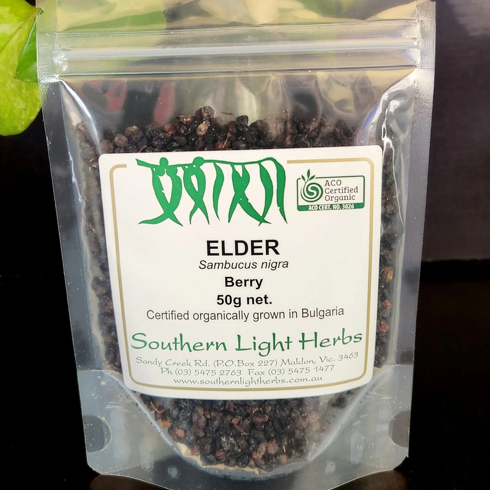 elder-berries-front.jpg