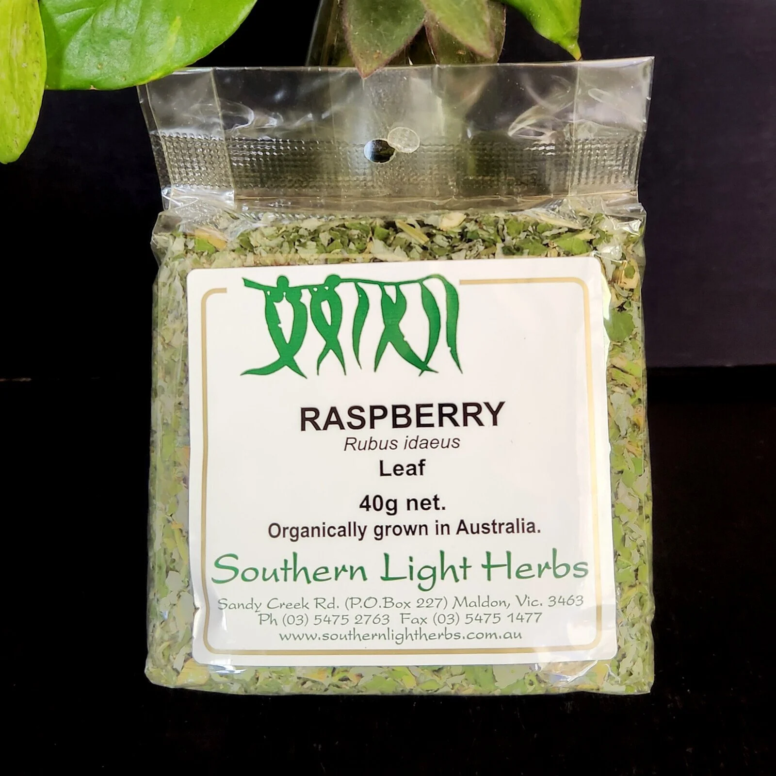 raspberry-leaf-front.jpg