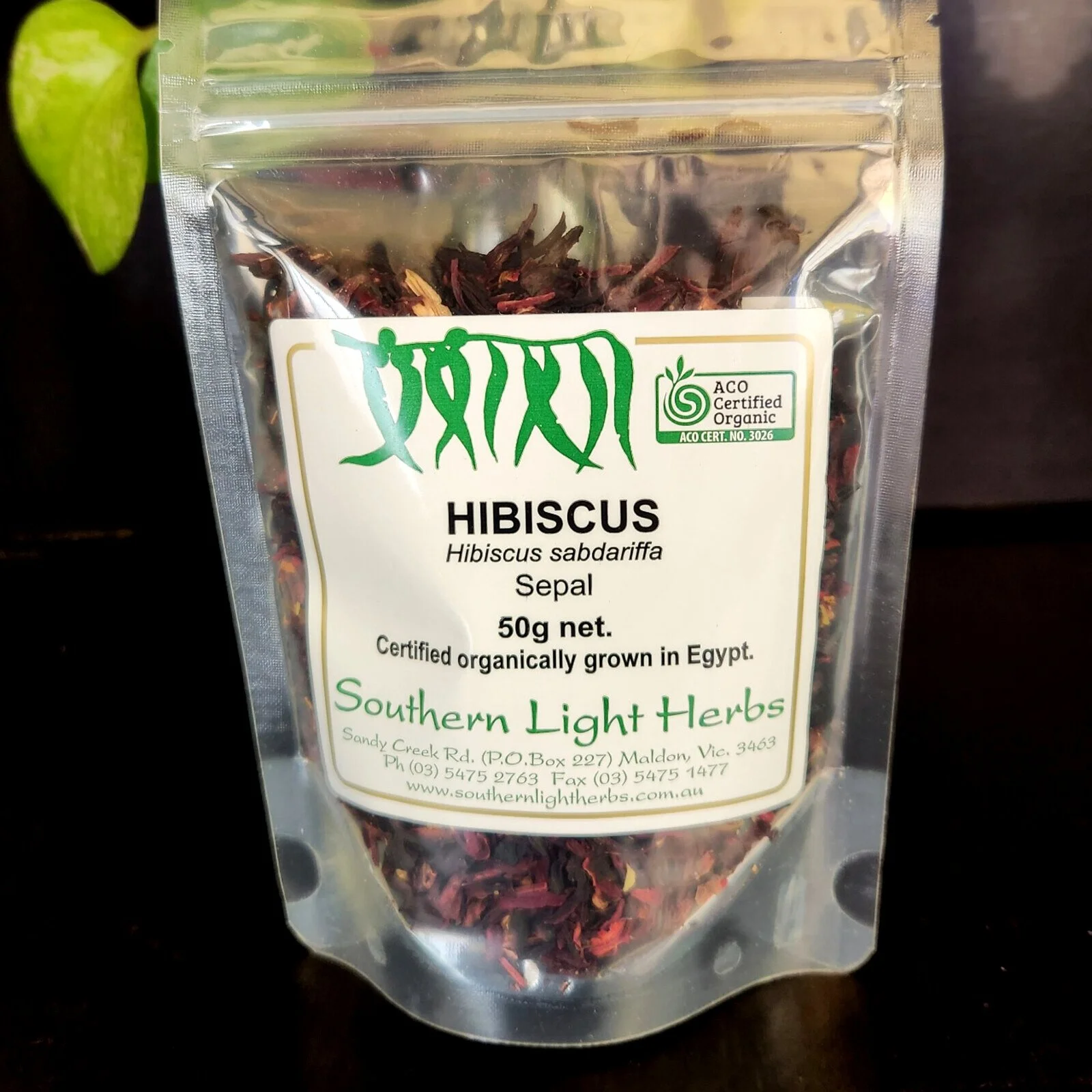 hibiscus-front.jpg