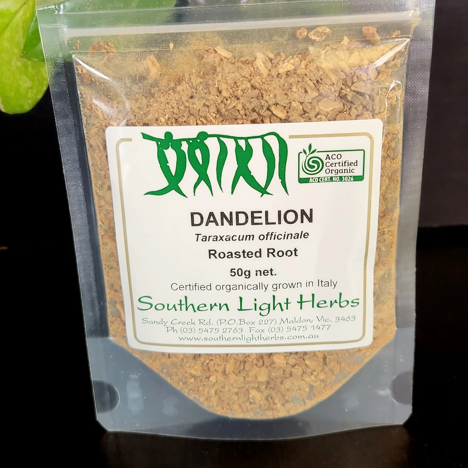 dandelion-root-front.jpg
