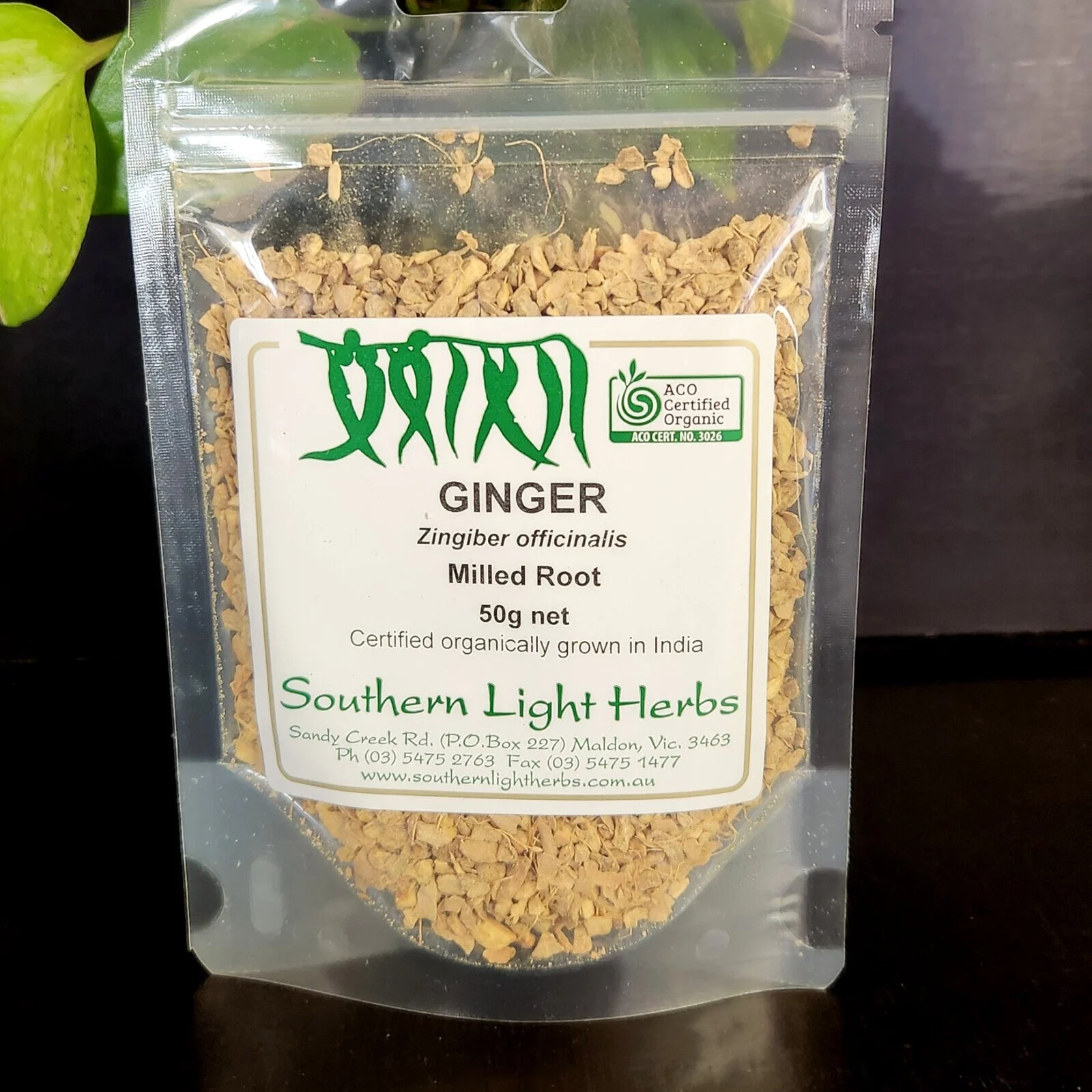 ginger-front.jpg