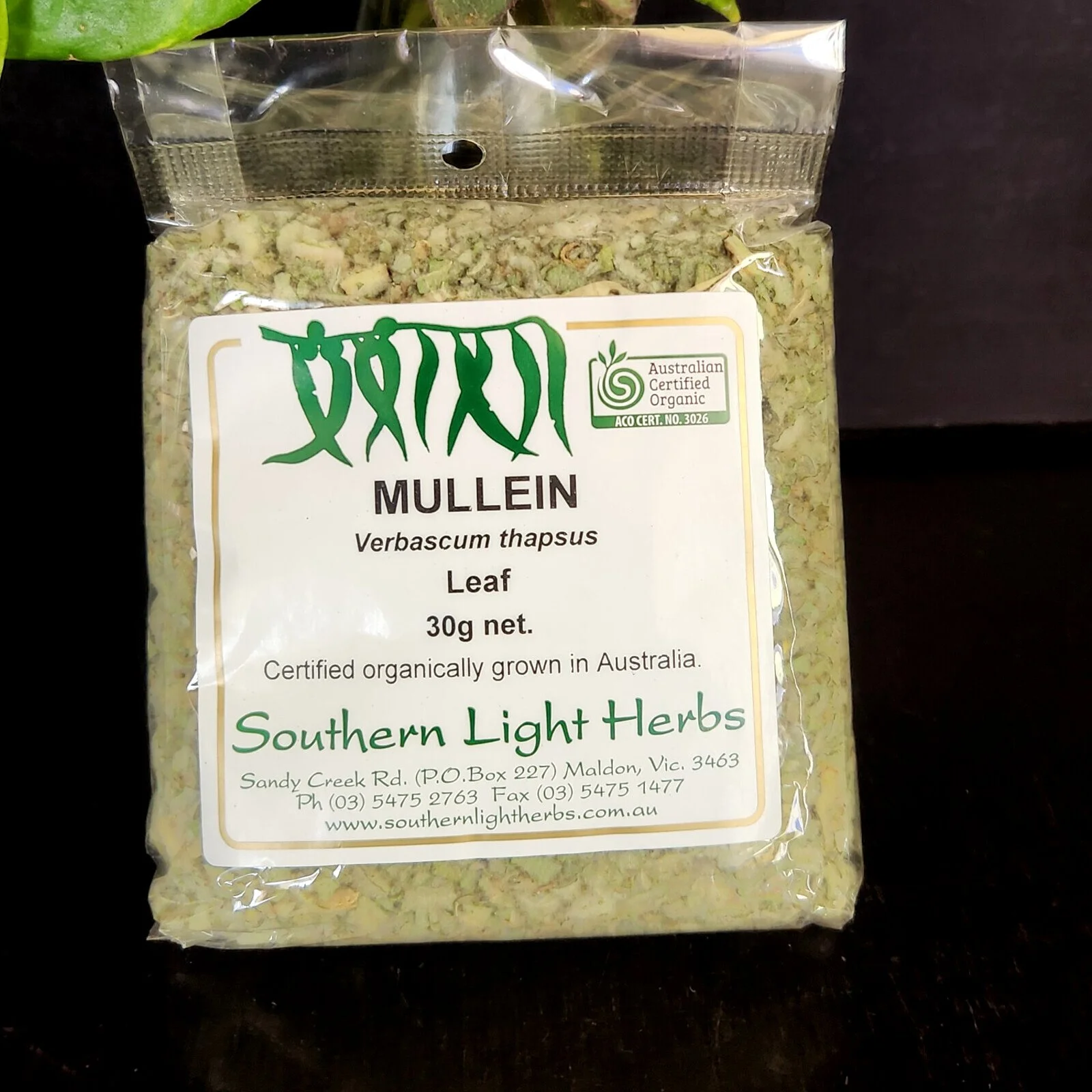 mullein-front.jpg