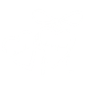 Double Designed Icon Logo