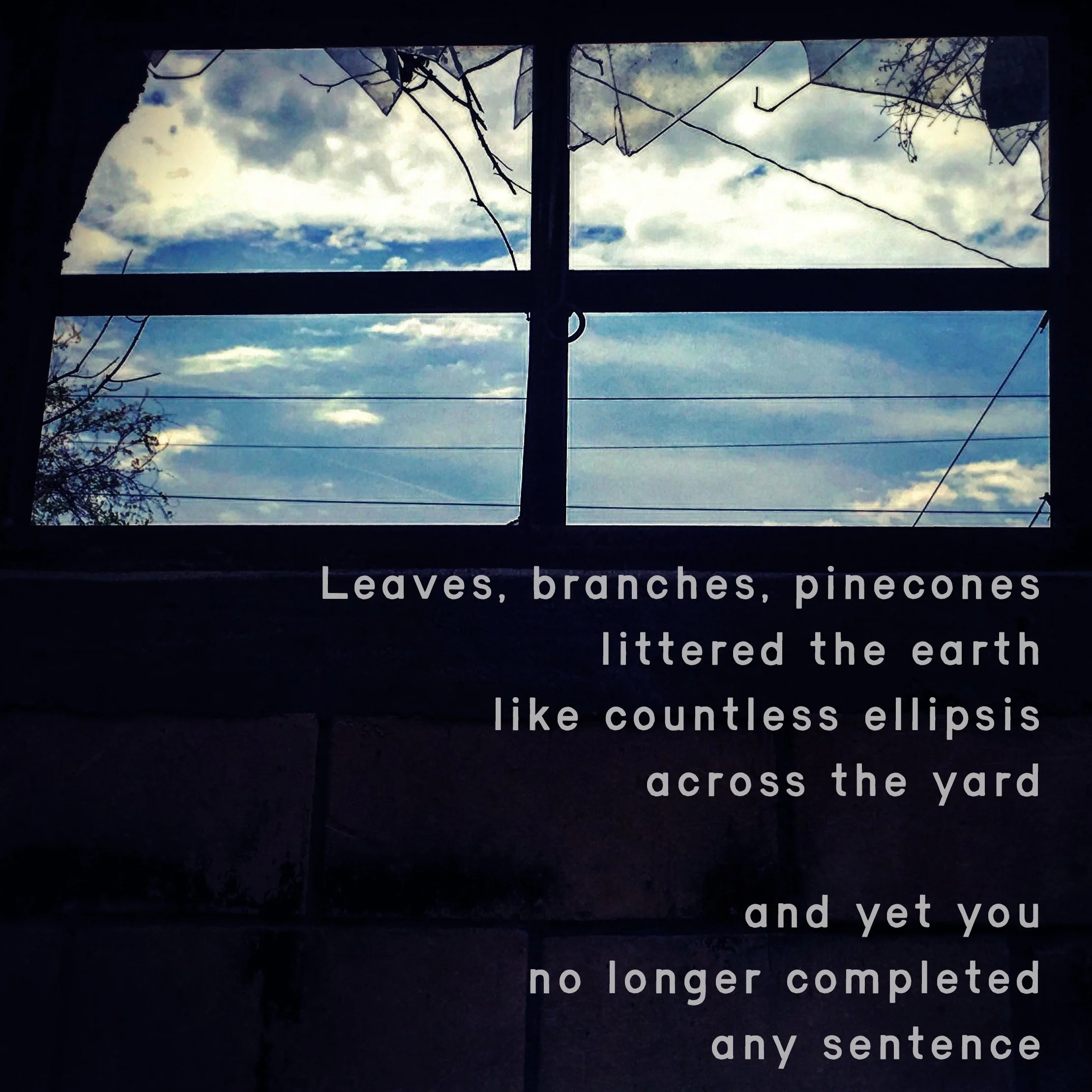 from the poem "After the Hurricane" from my Chapbook '3am Additions to the Booklist'.