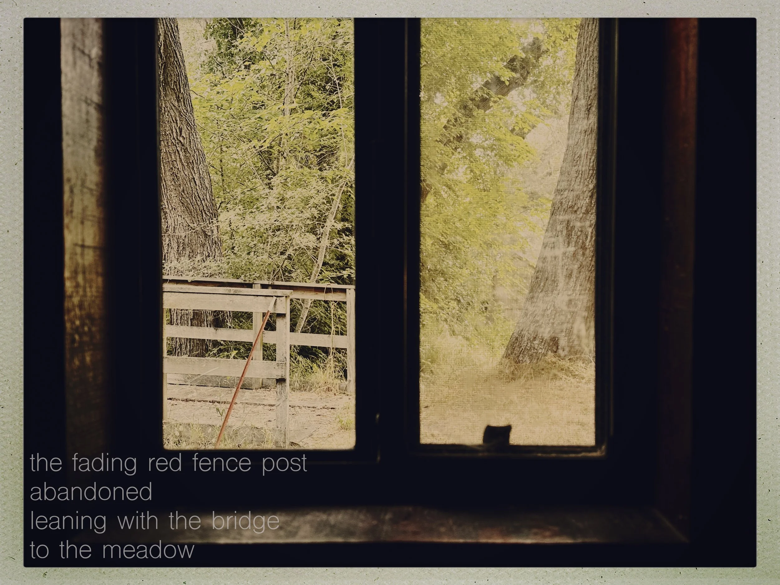 Window 1 - 7 Windows A Door A Walk.jpg