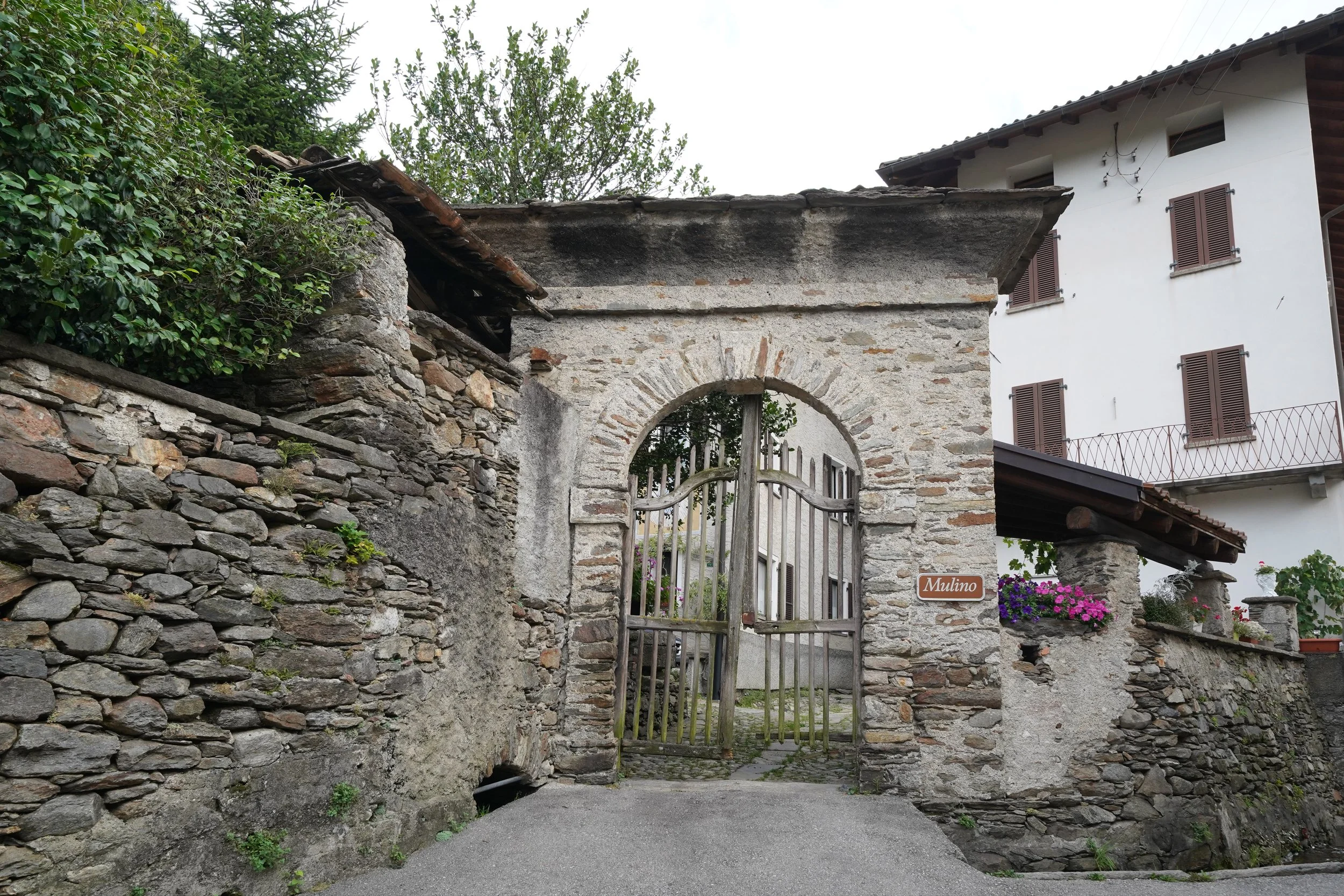 DSC06264.JPG