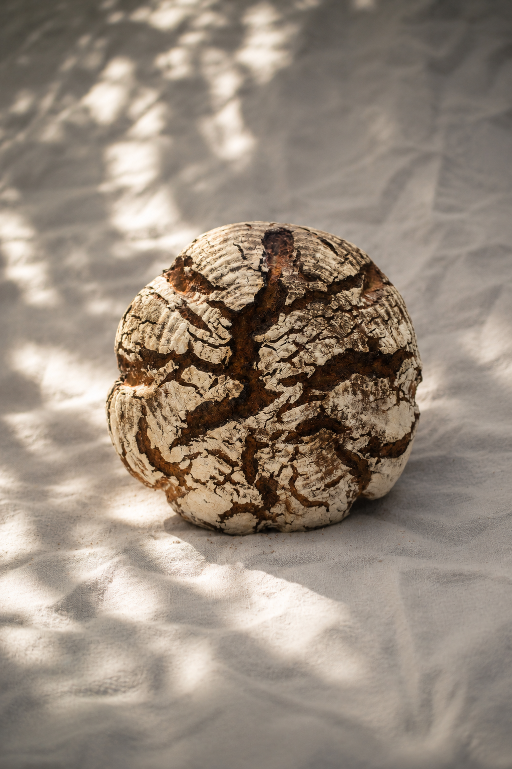 Il Pane -  100% Roggenbrot