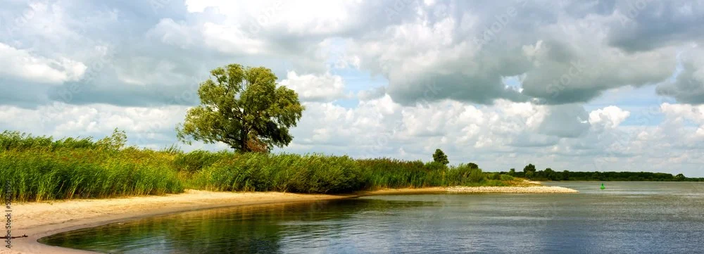 Landschaft mit Ufer, einem großen Baum, Gras, Wolken und Wasser