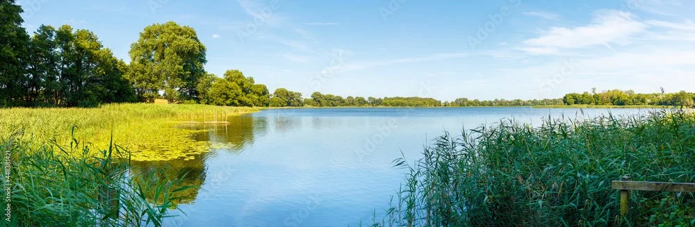 Ein Fluss mit Ufervegetation, Bäumen und einem klaren blauen Himmel an einem sonnigen Tag.