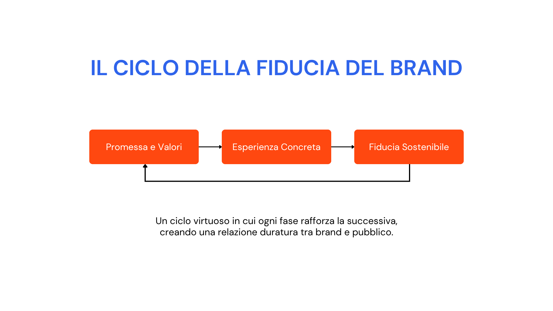 schema del ciclo di fiducia del brand