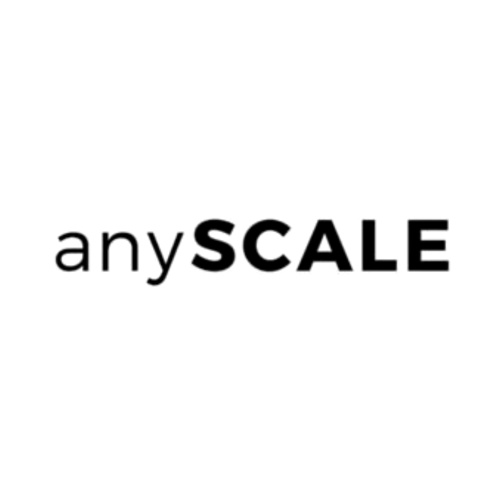 anySCALE logo