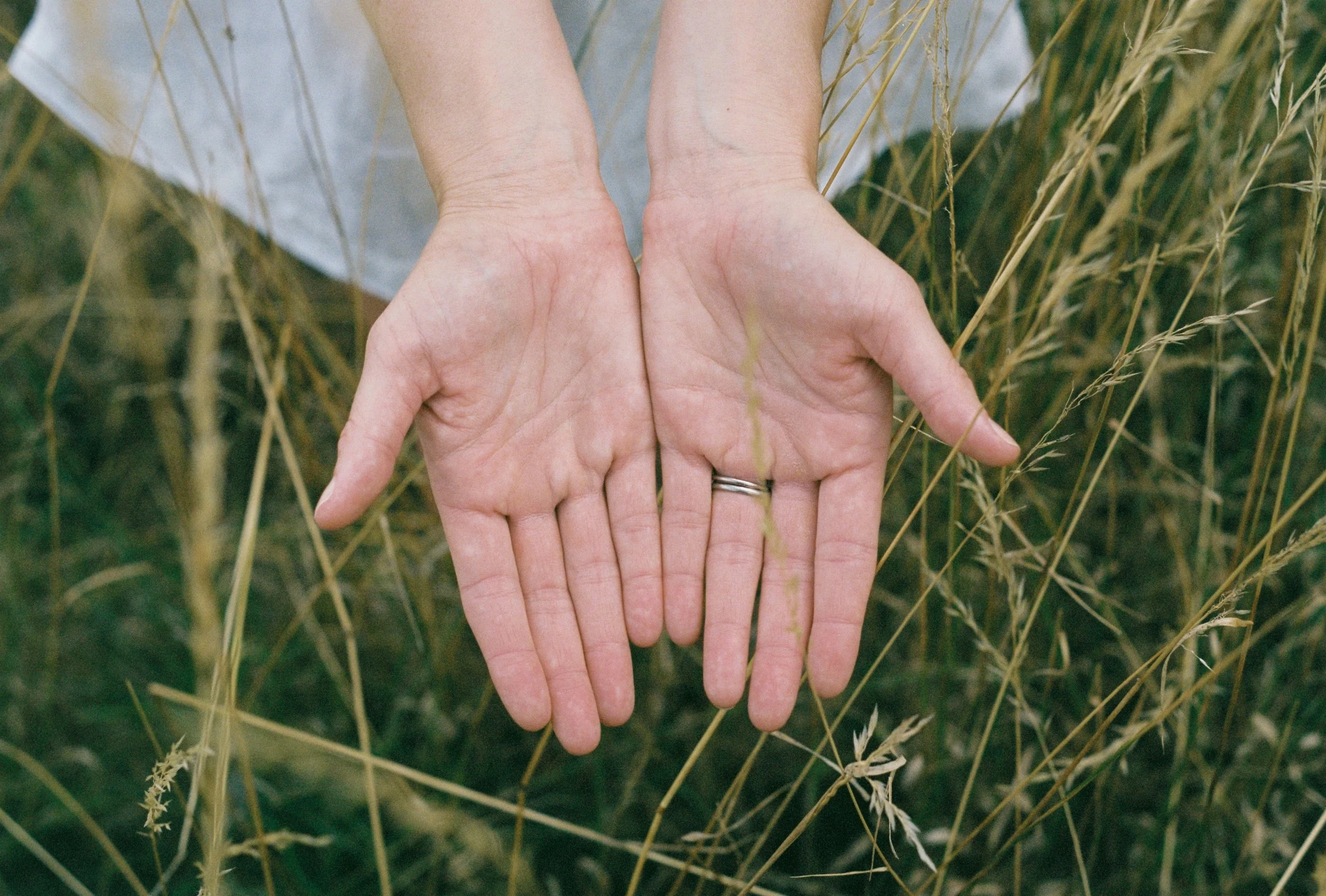 Two hands with open palms facing inward, surrounded by tall wheat stalks in a field.