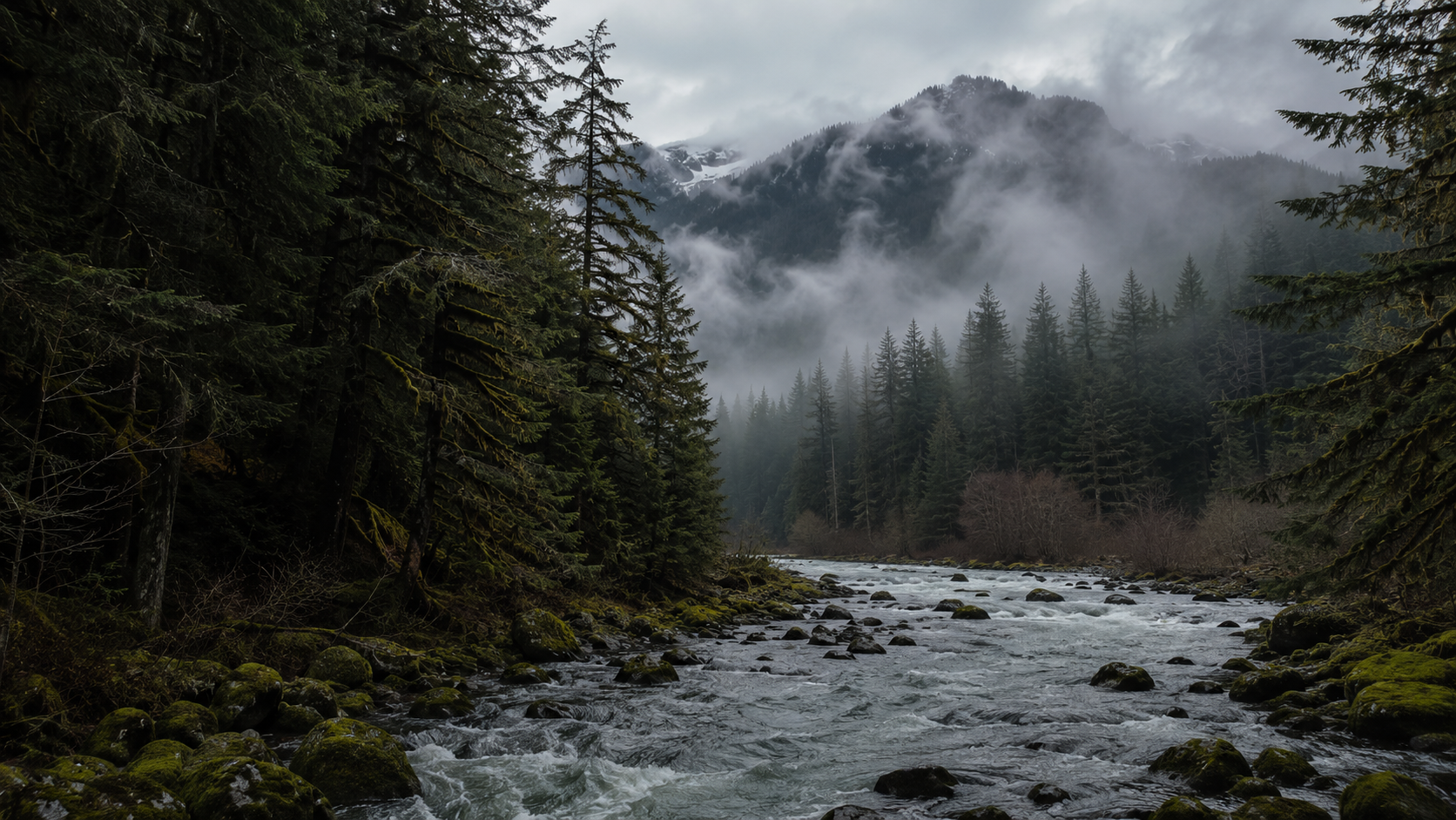Misty Pacific Northwest forest and river landscape