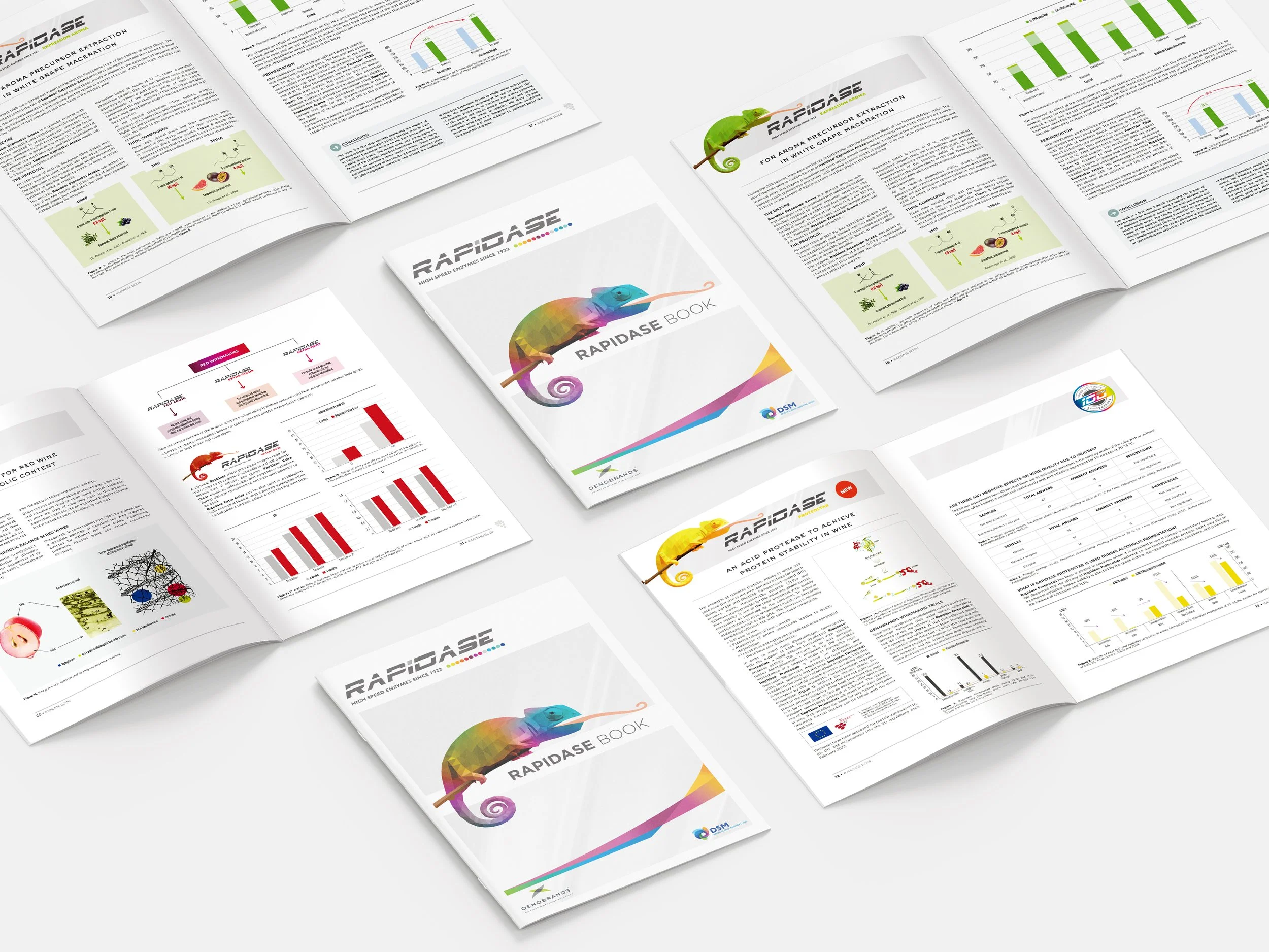Rapidase Book, catalogue de 44 pages présentant la gamme d'enzymes