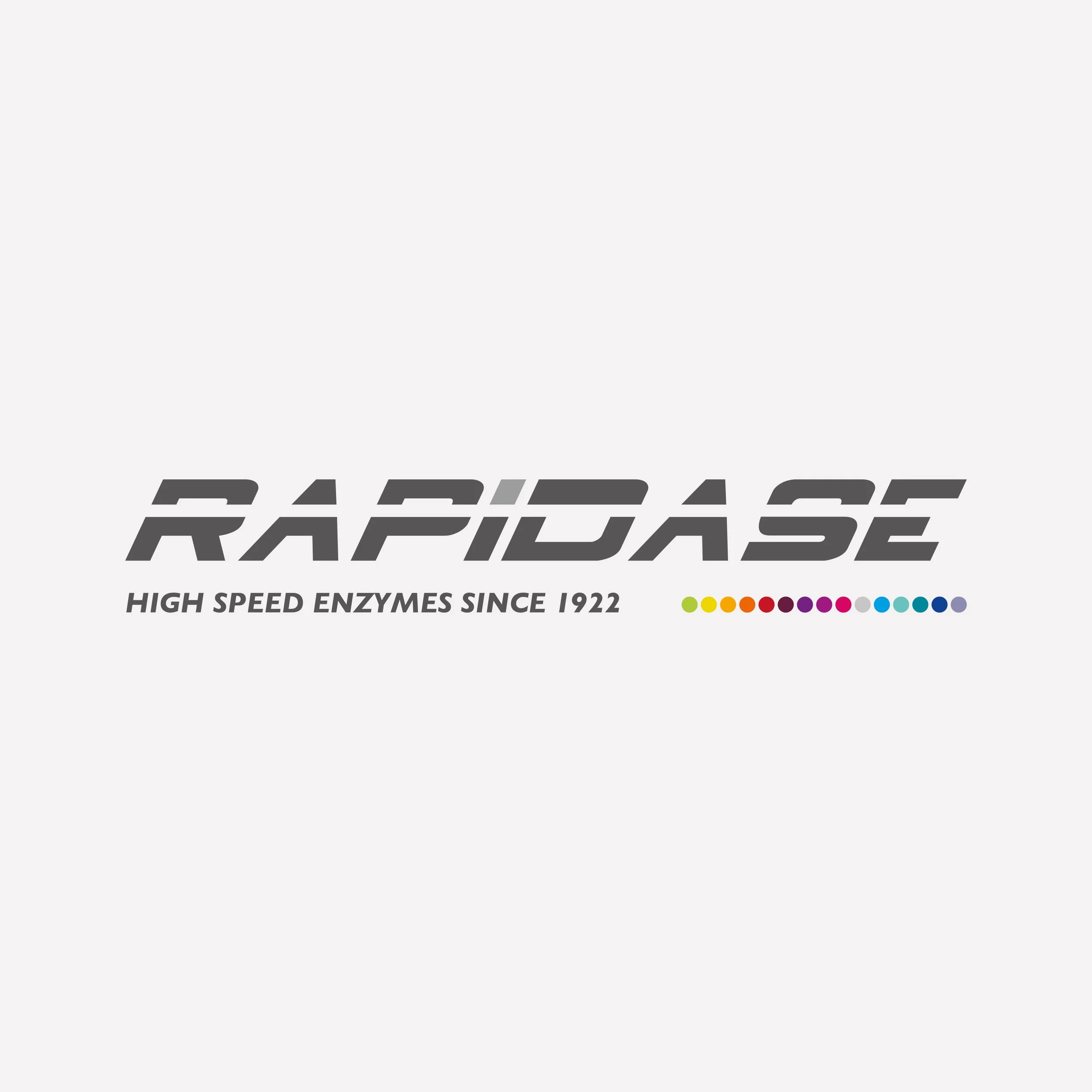 RAPIDASE 2026.jpg