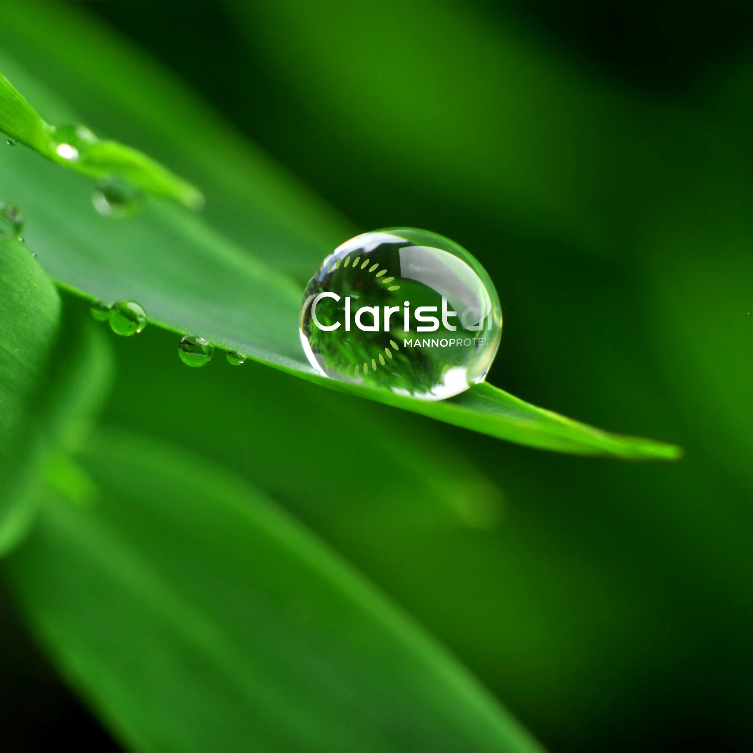 CLARISTAR annonce presse.jpg