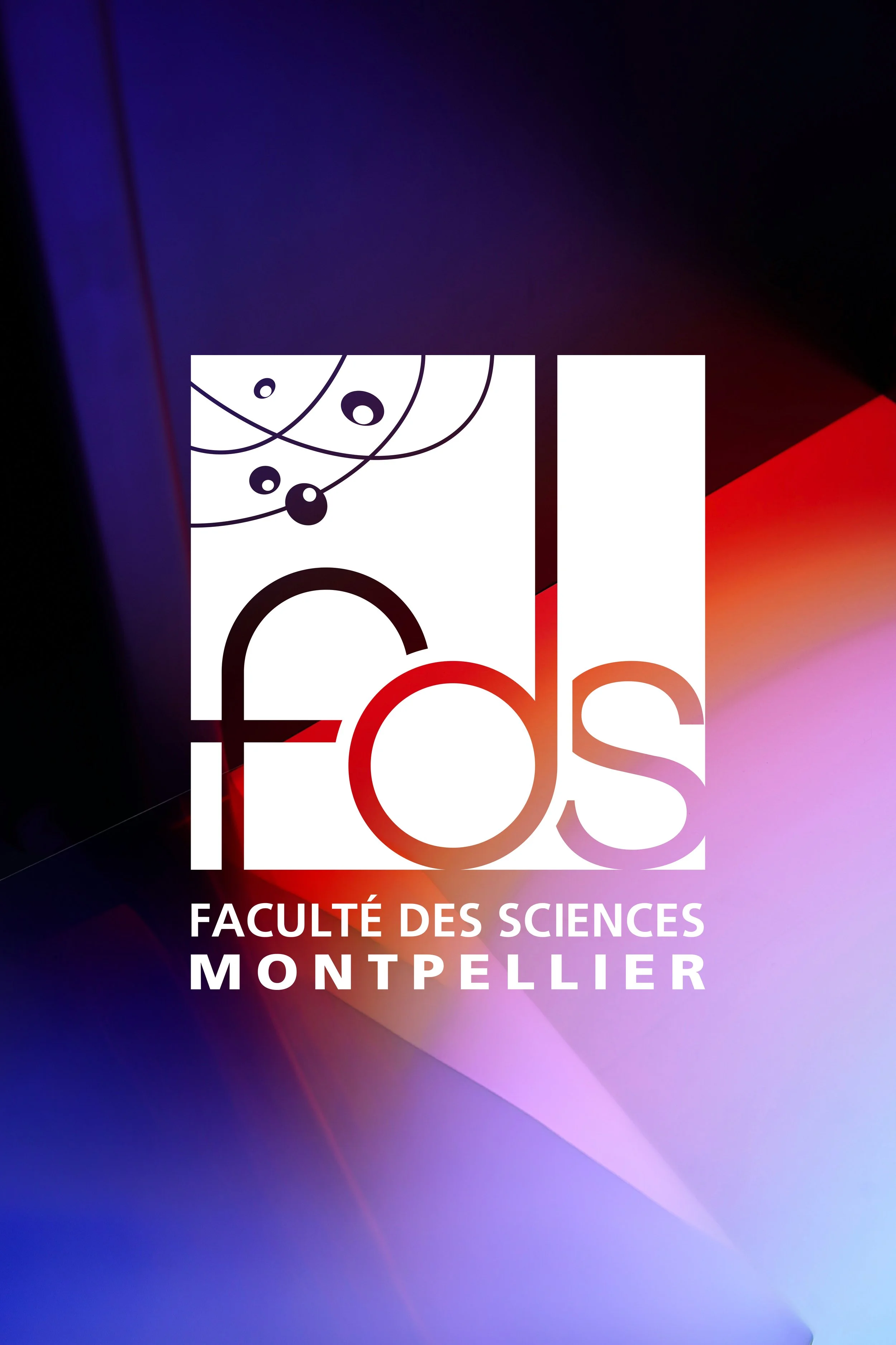FDS 2026.jpg
