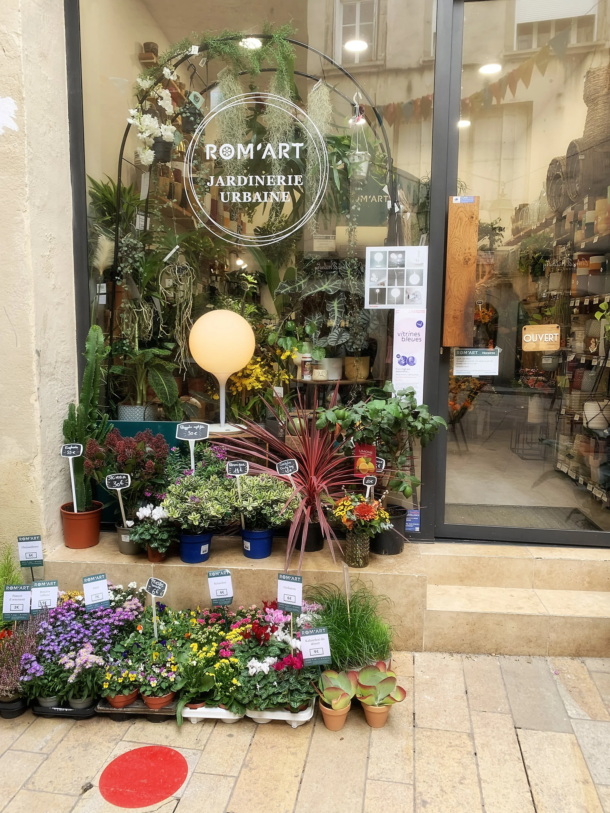 Vitrine d'un commerce mise en scène pour l'événement Vitrines Bleues, Montpellier